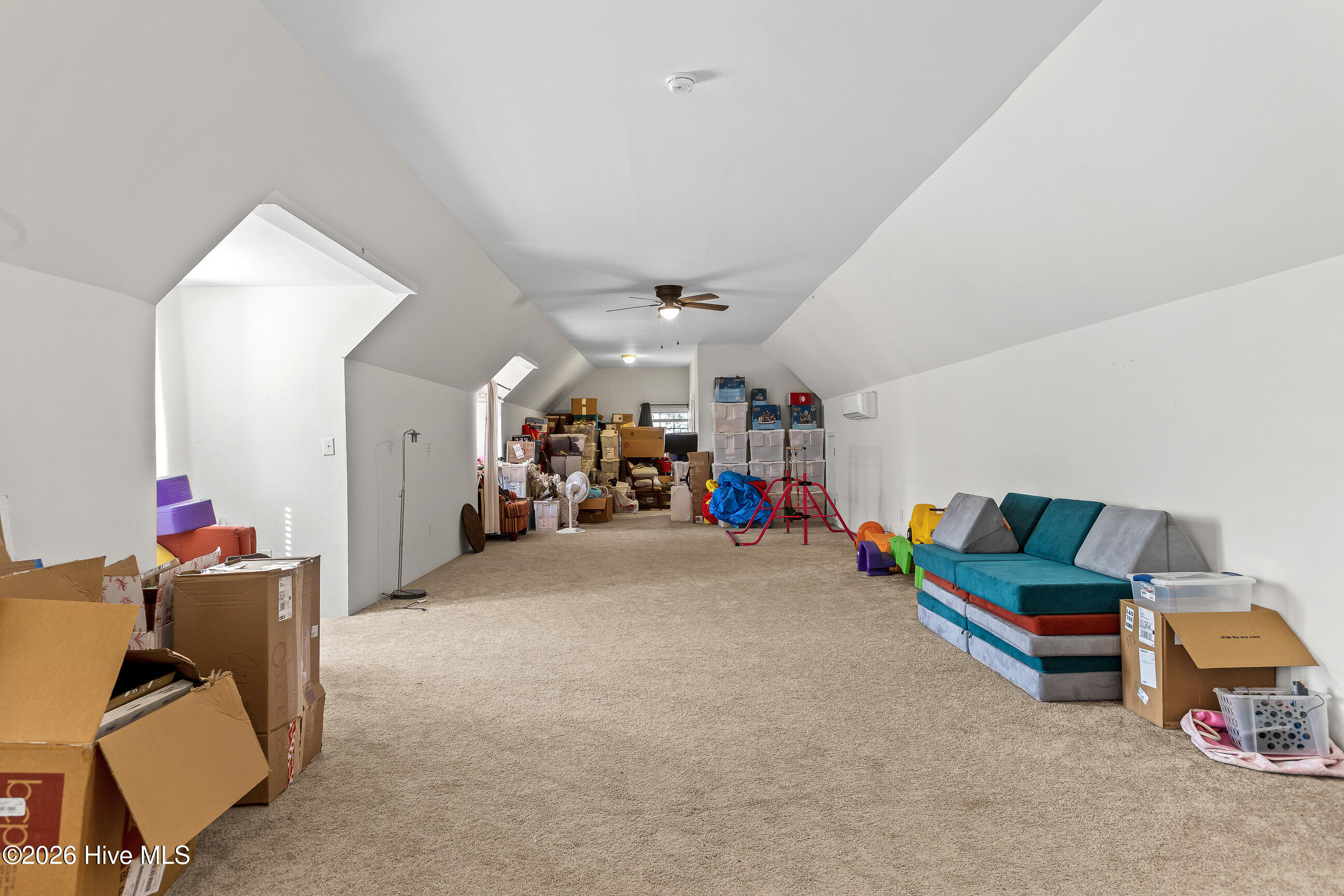 100559126 | Photo 30