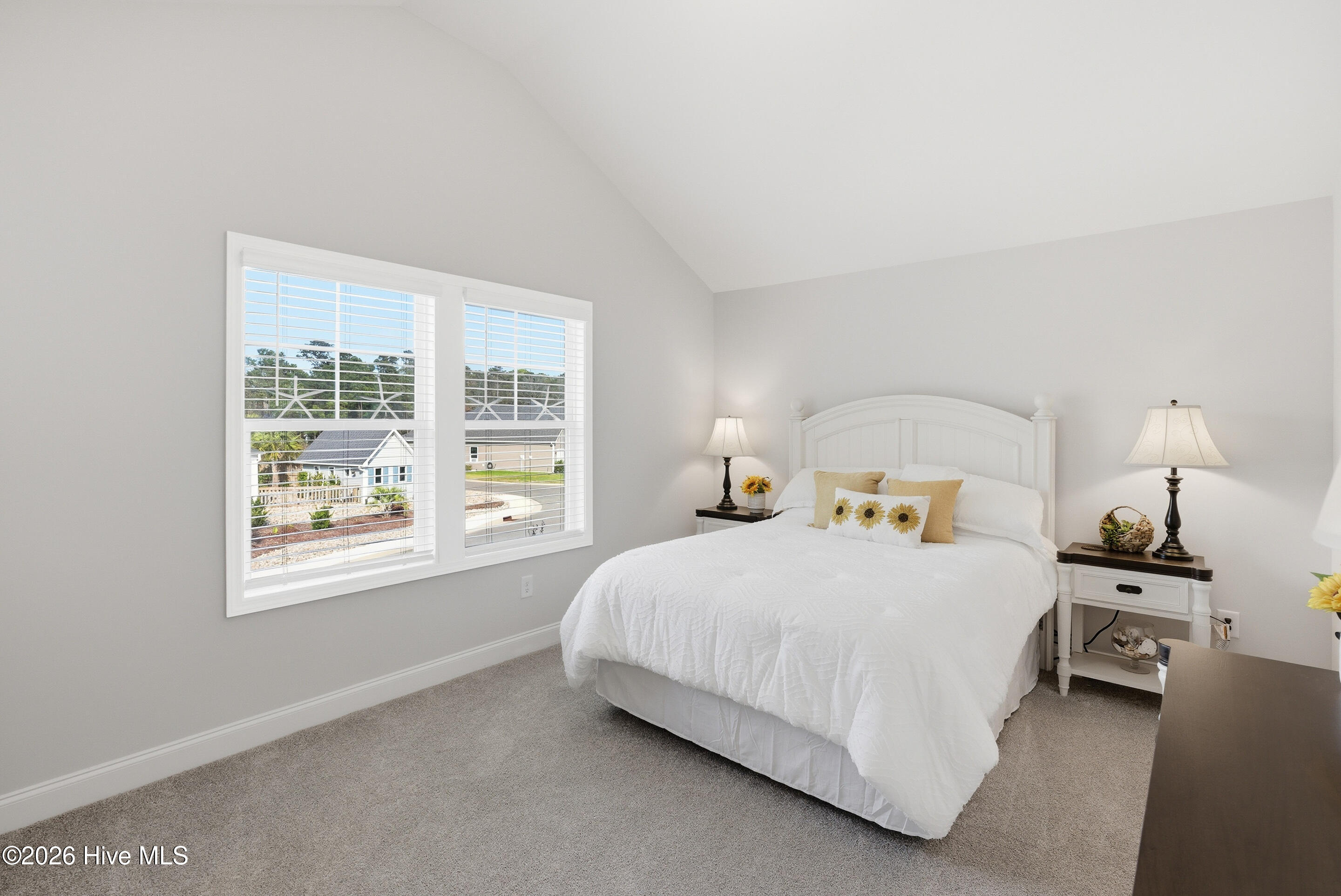 100562920 | Photo 29