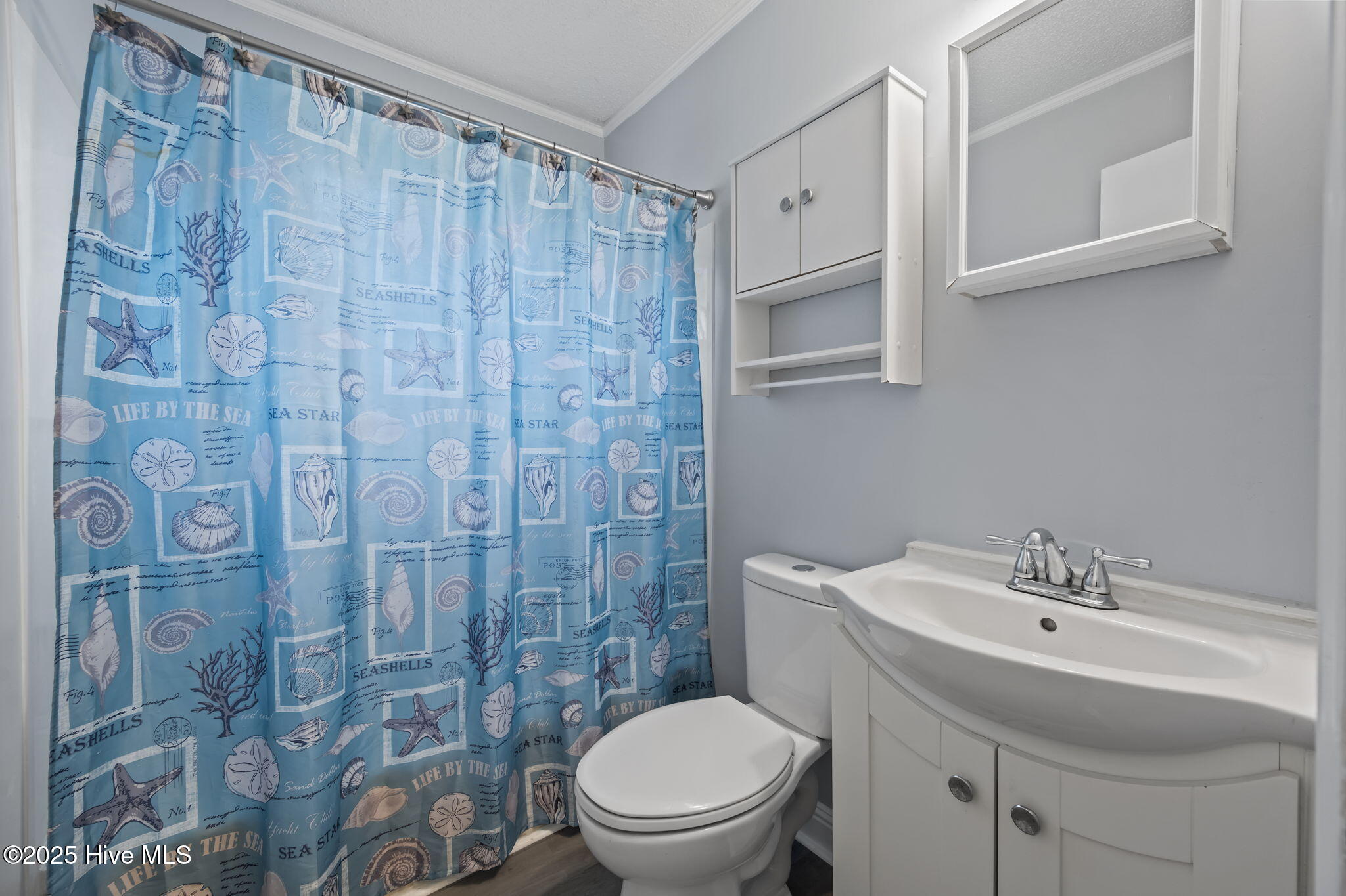 100536002 | Photo 21