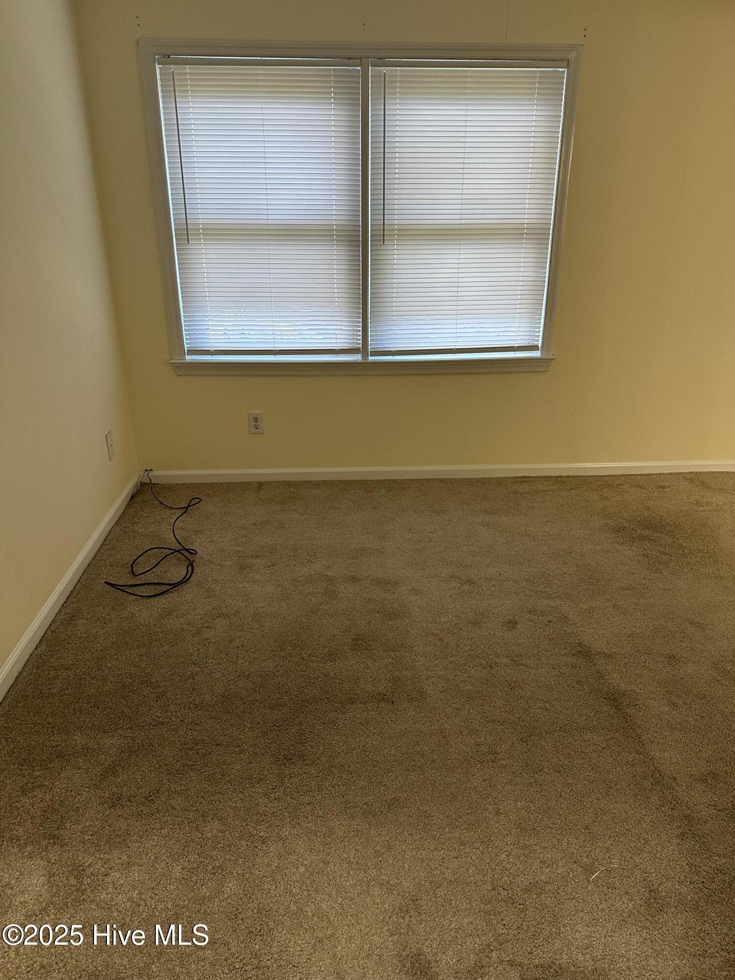 100537313 | Photo 14