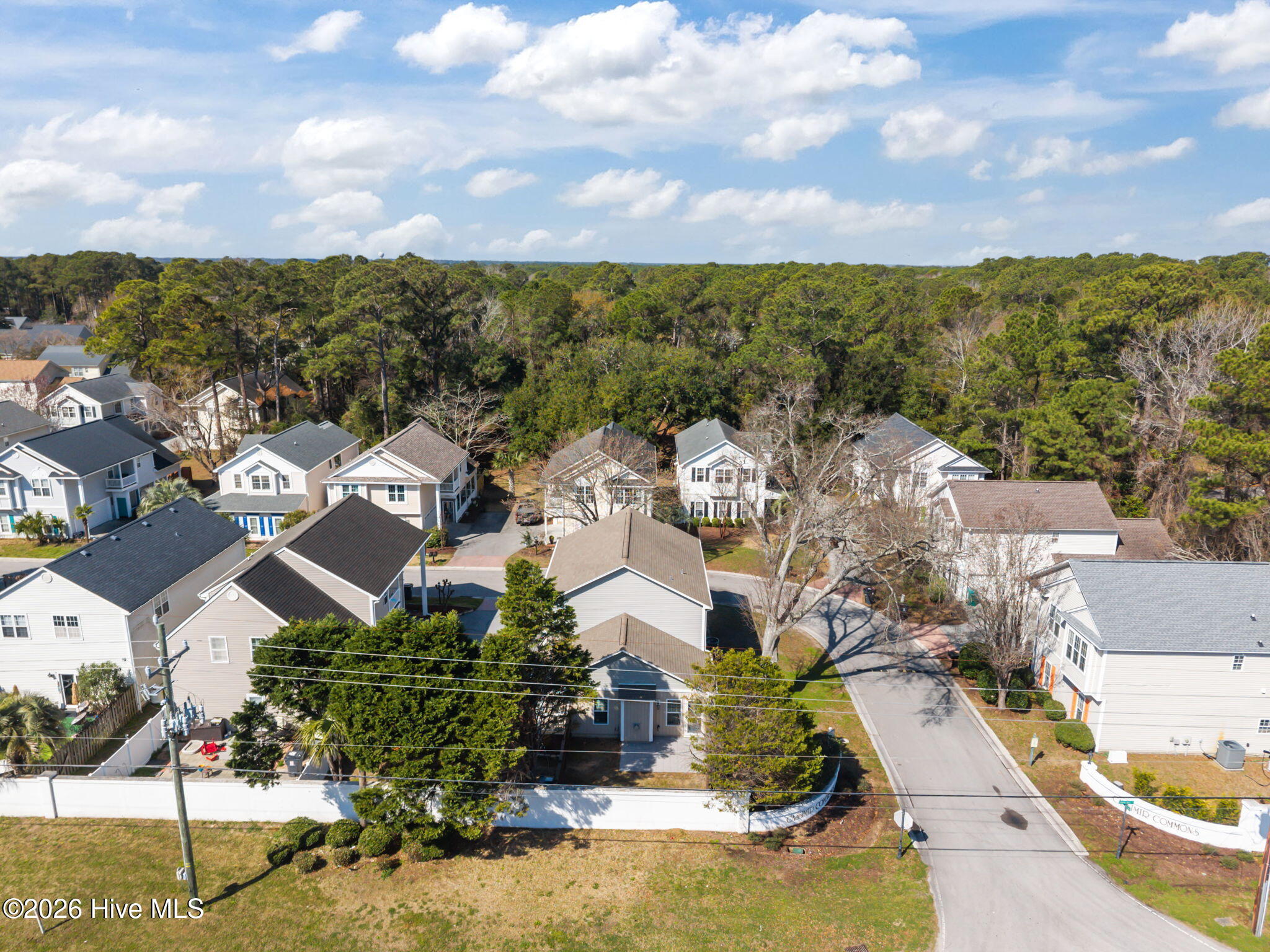 100559197 | Photo 64