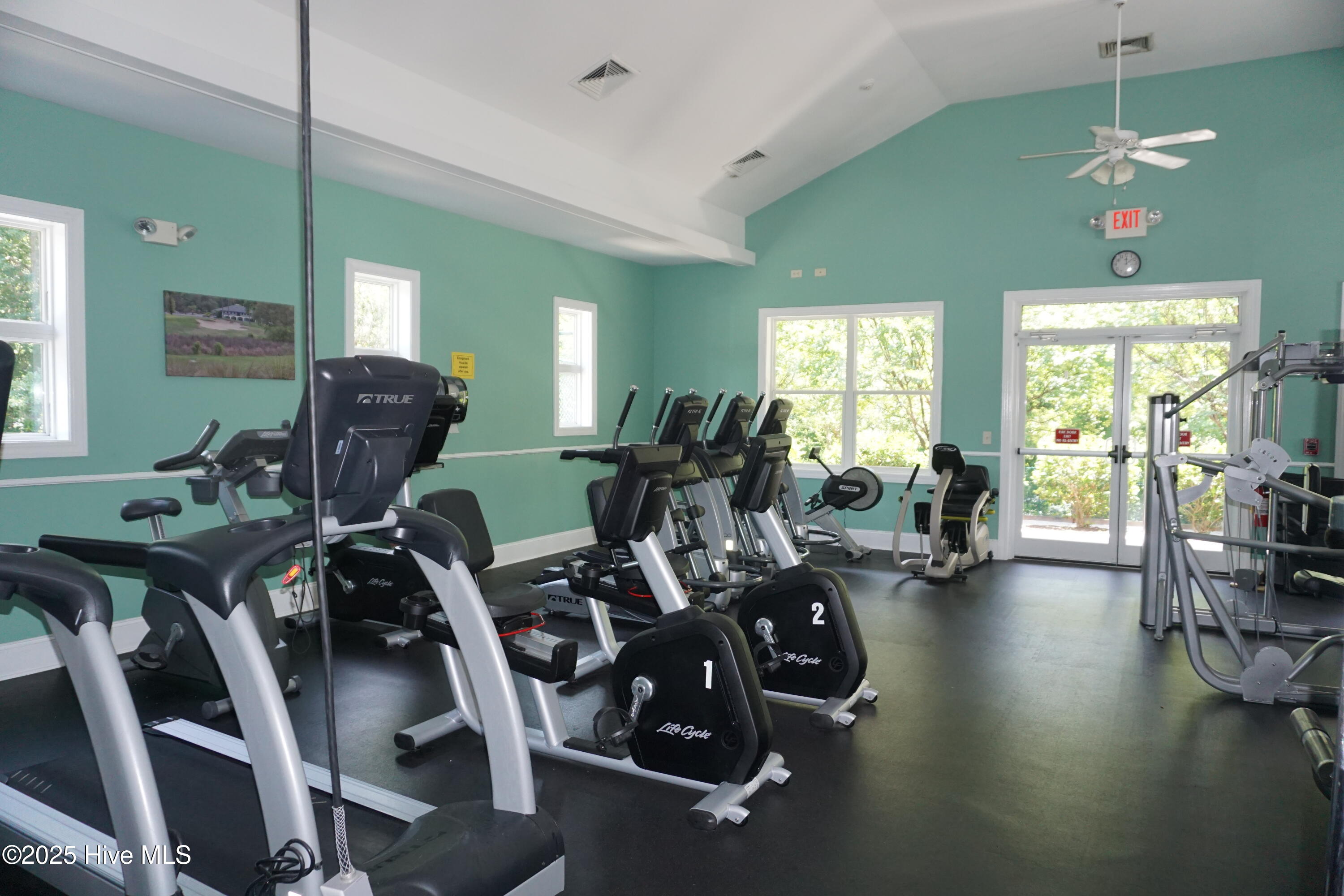 100528328 | Photo 14