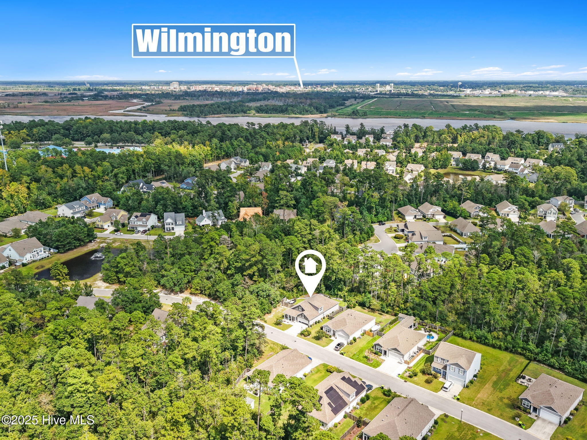 100531628 | Photo 51