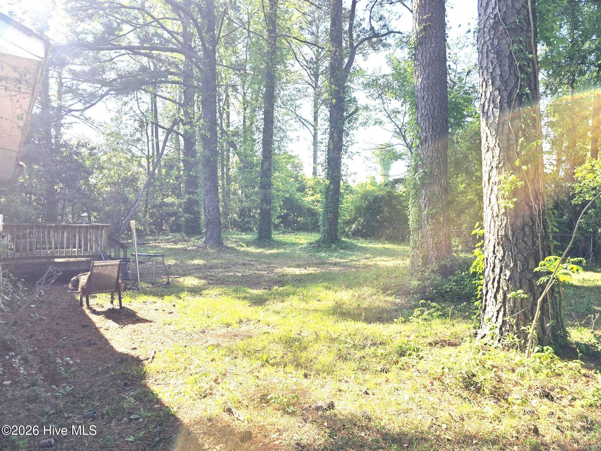 100571548 | Photo 31