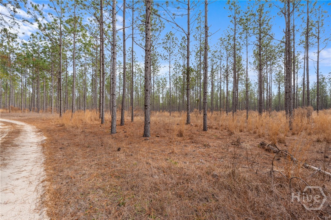 1000 Old River Road S, Brooklet, GA, 30415