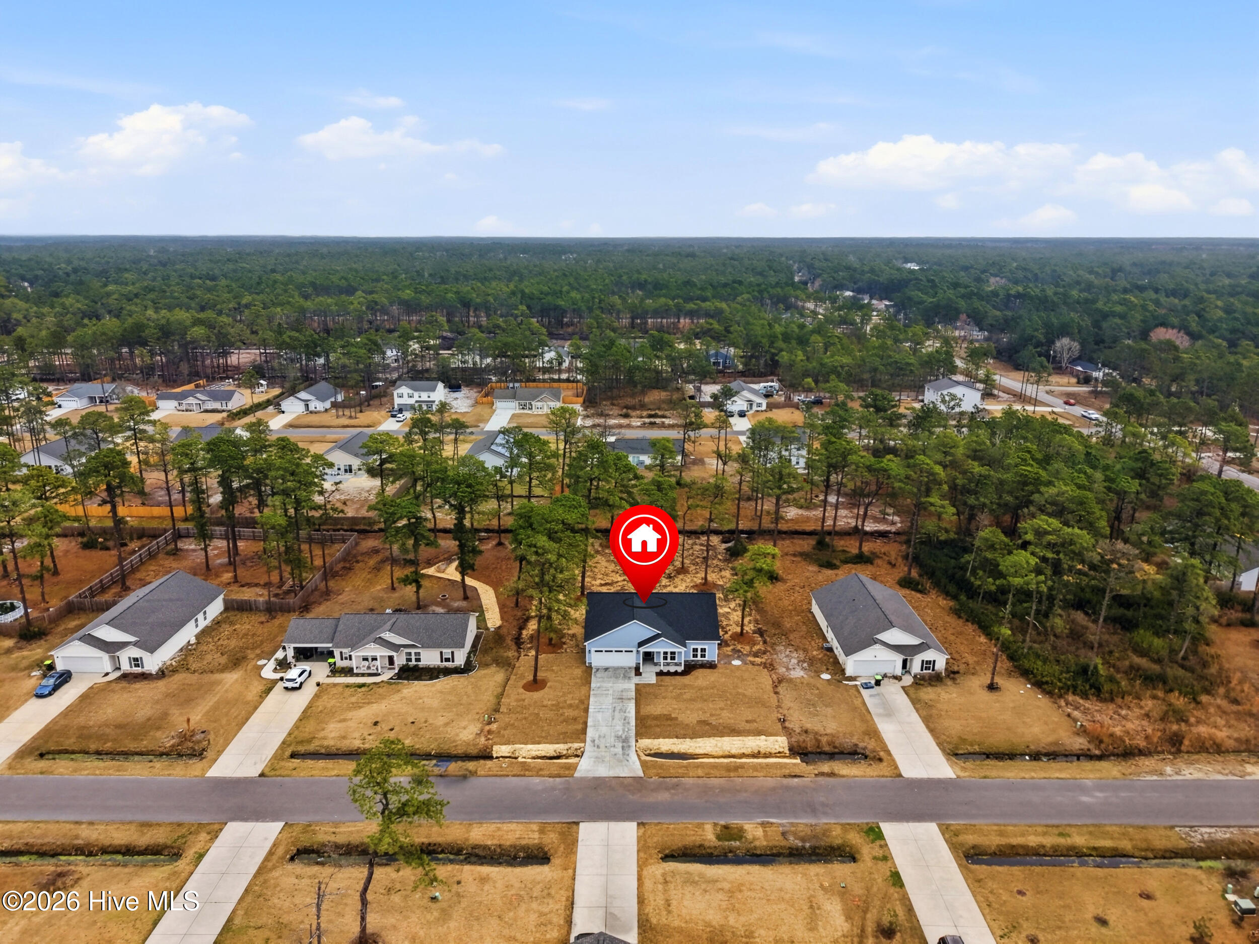 100558346 | Photo 37