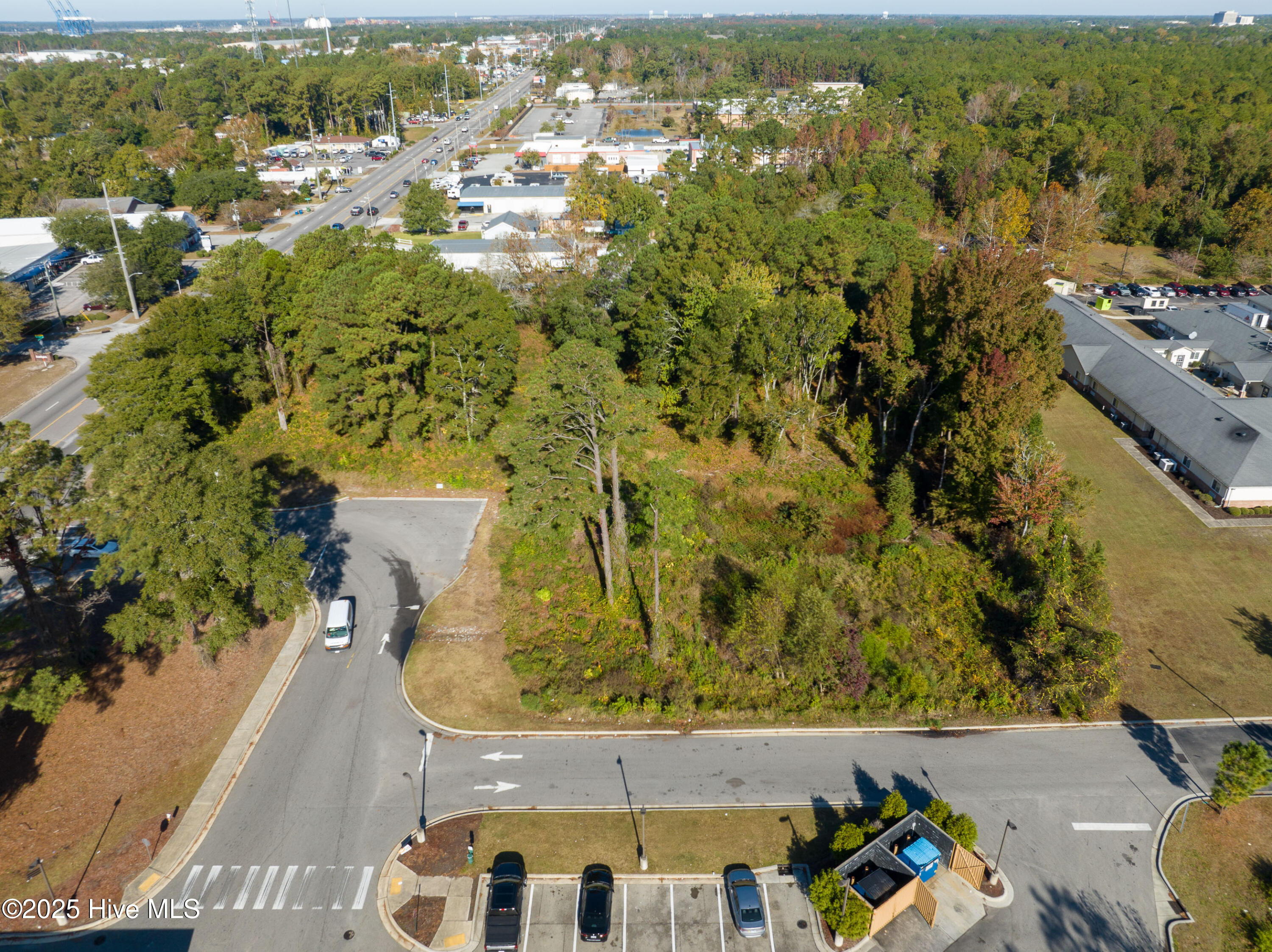 100540457 | Photo 11