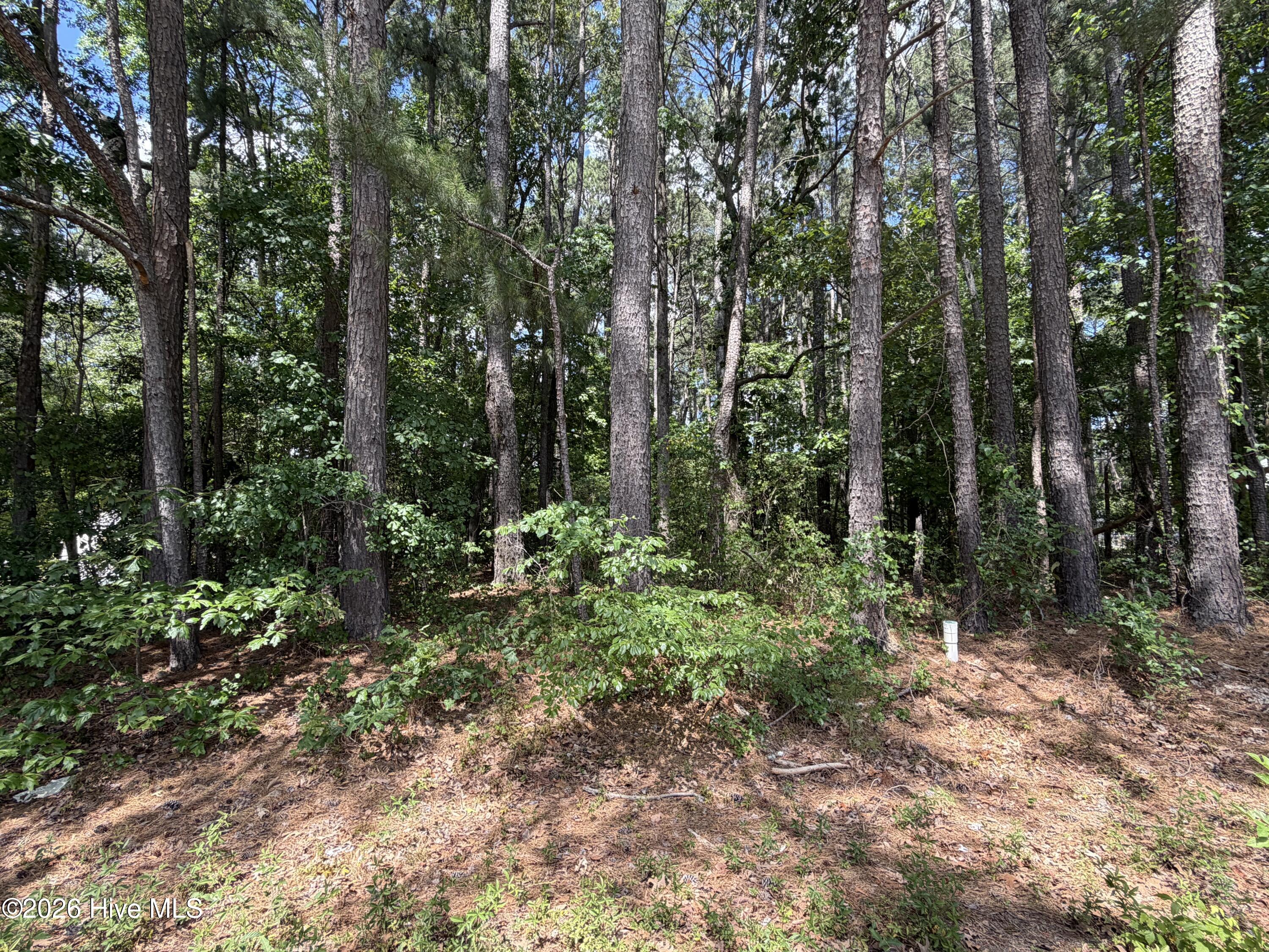 306 Daniel Drive, Goldsboro, NC 27534 Listing Photo  1
