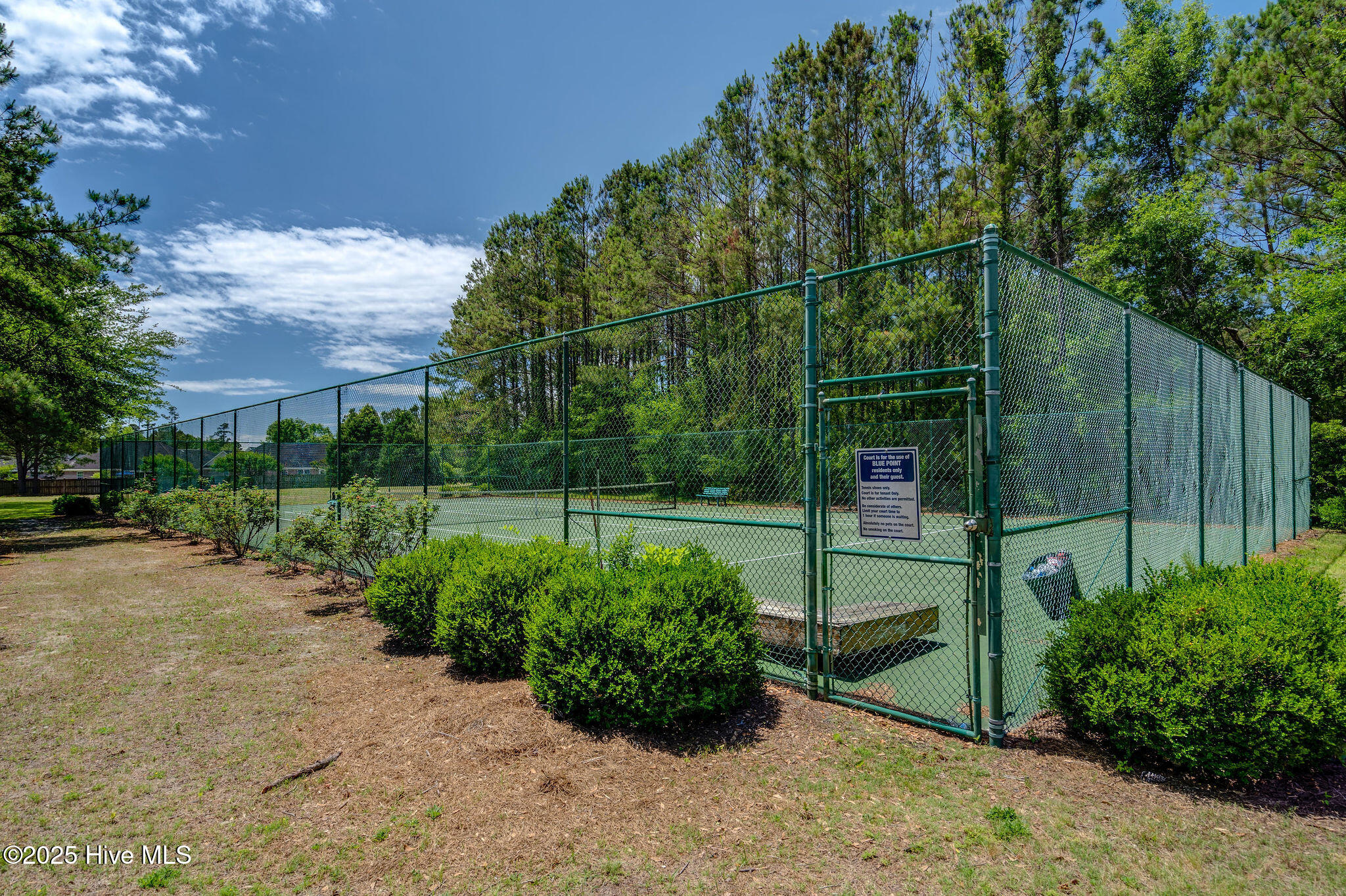 100540017 | Photo 73