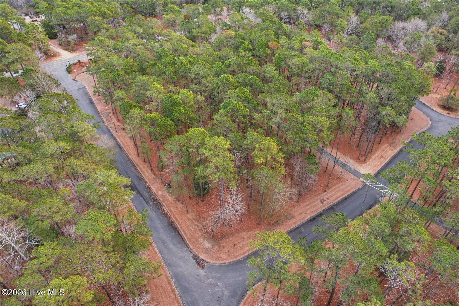 100555112 | Photo 24