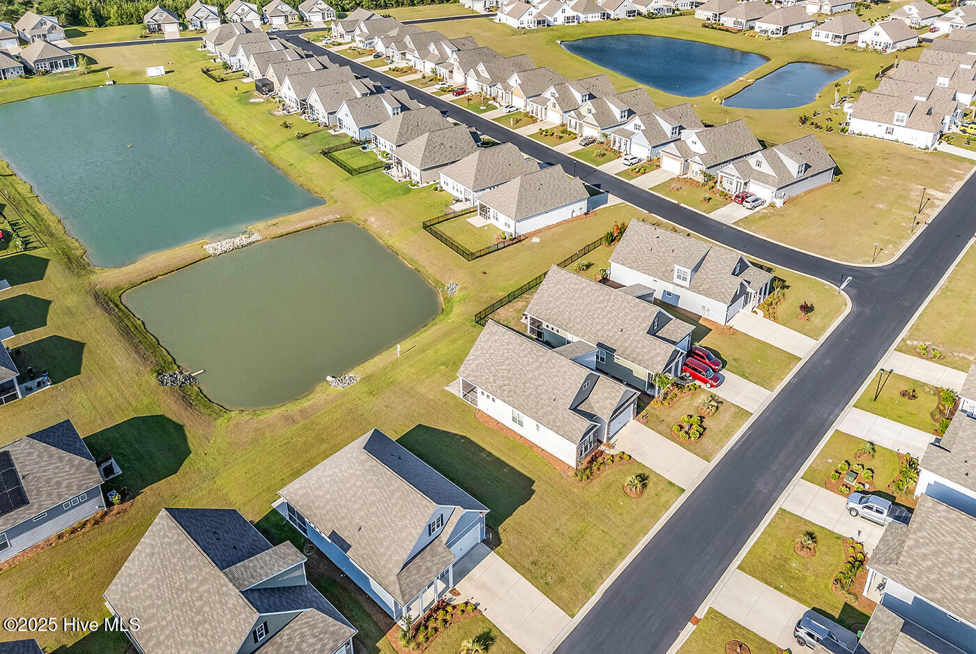 100547571 | Photo 48