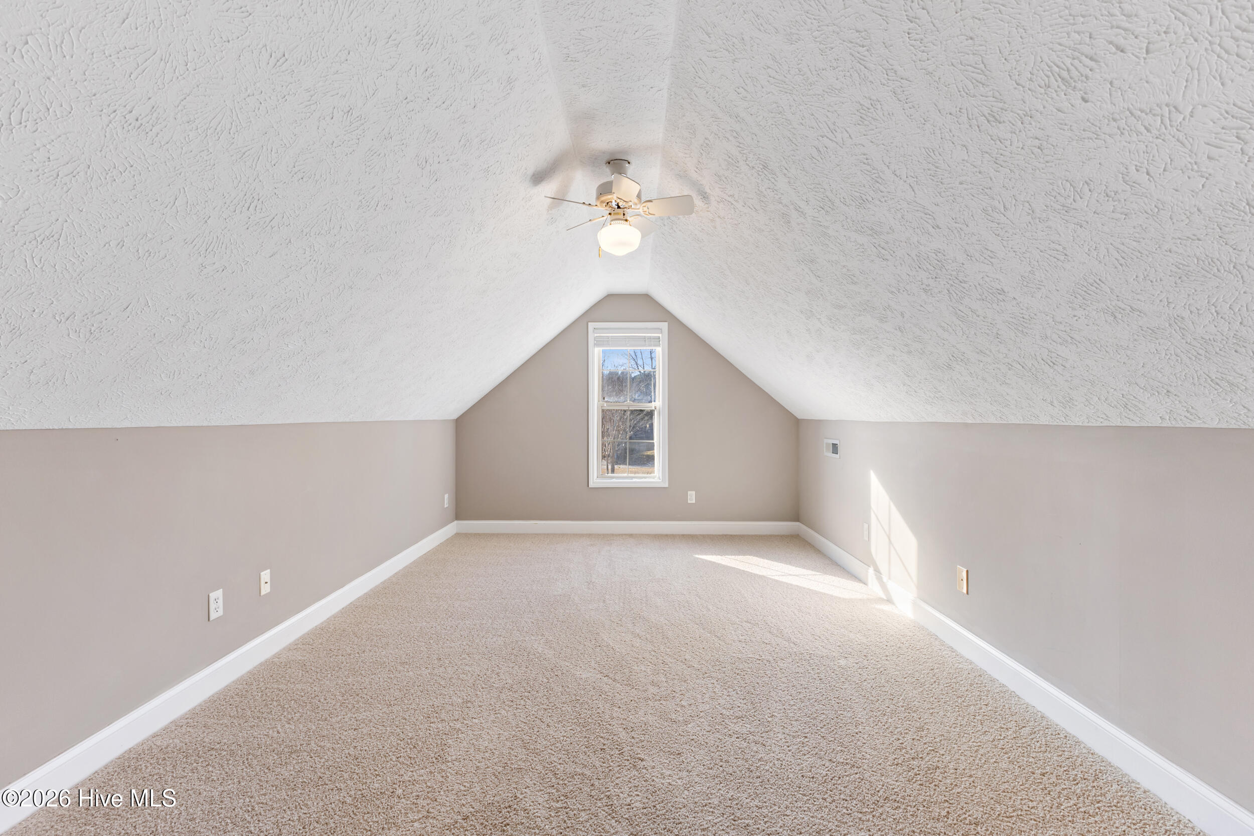 100553711 | Photo 24