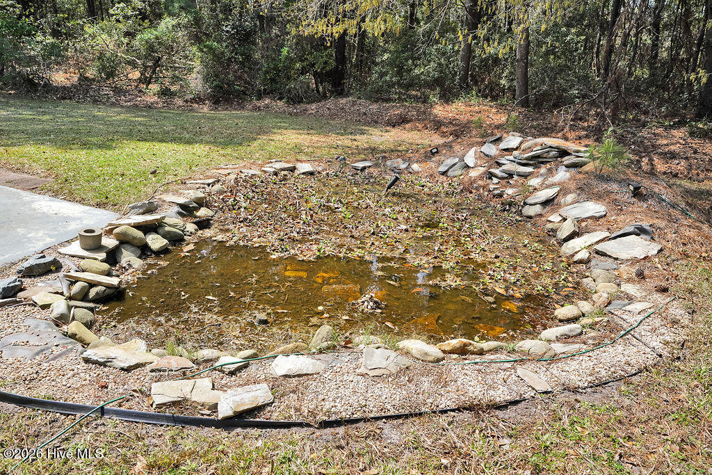 100563606 | Photo 35