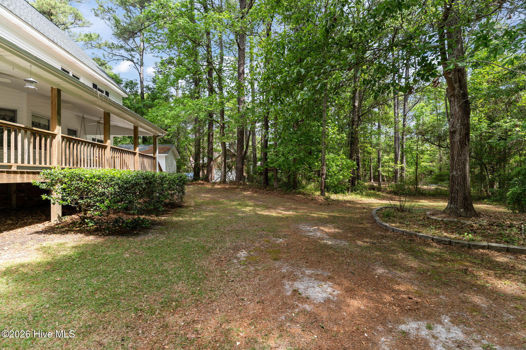 100568125 | Photo 41