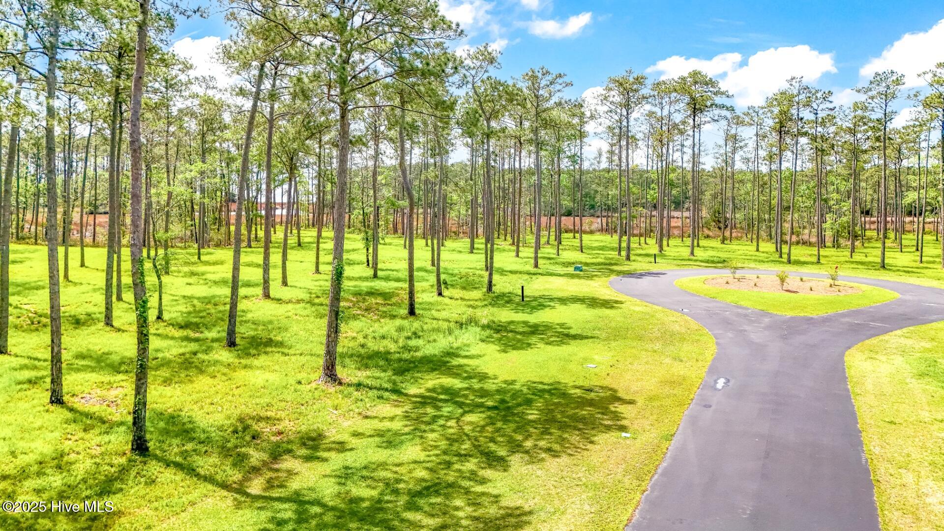 203 River Watch Road, Oriental, NC, 28571