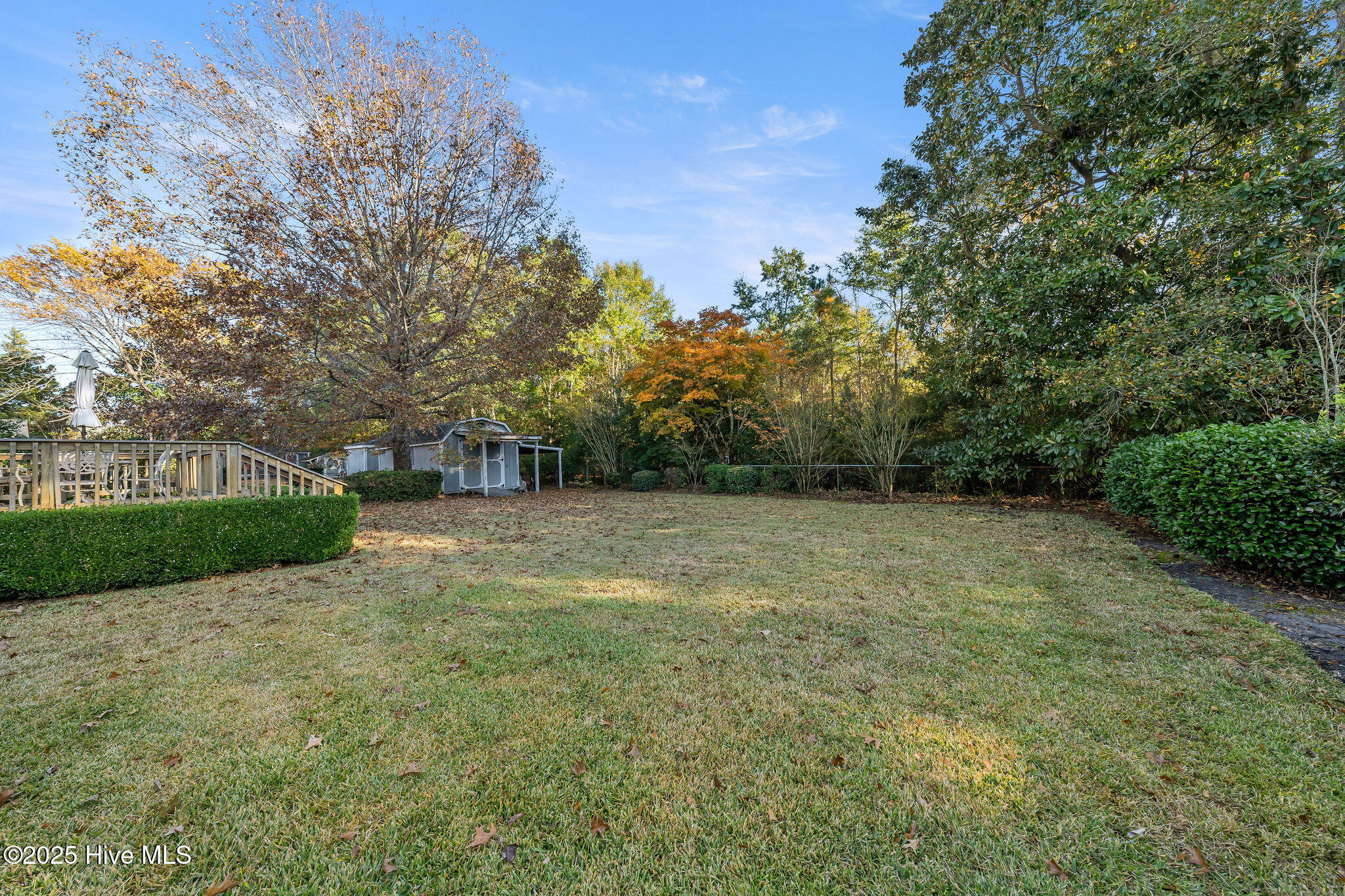 100542635 | Photo 41