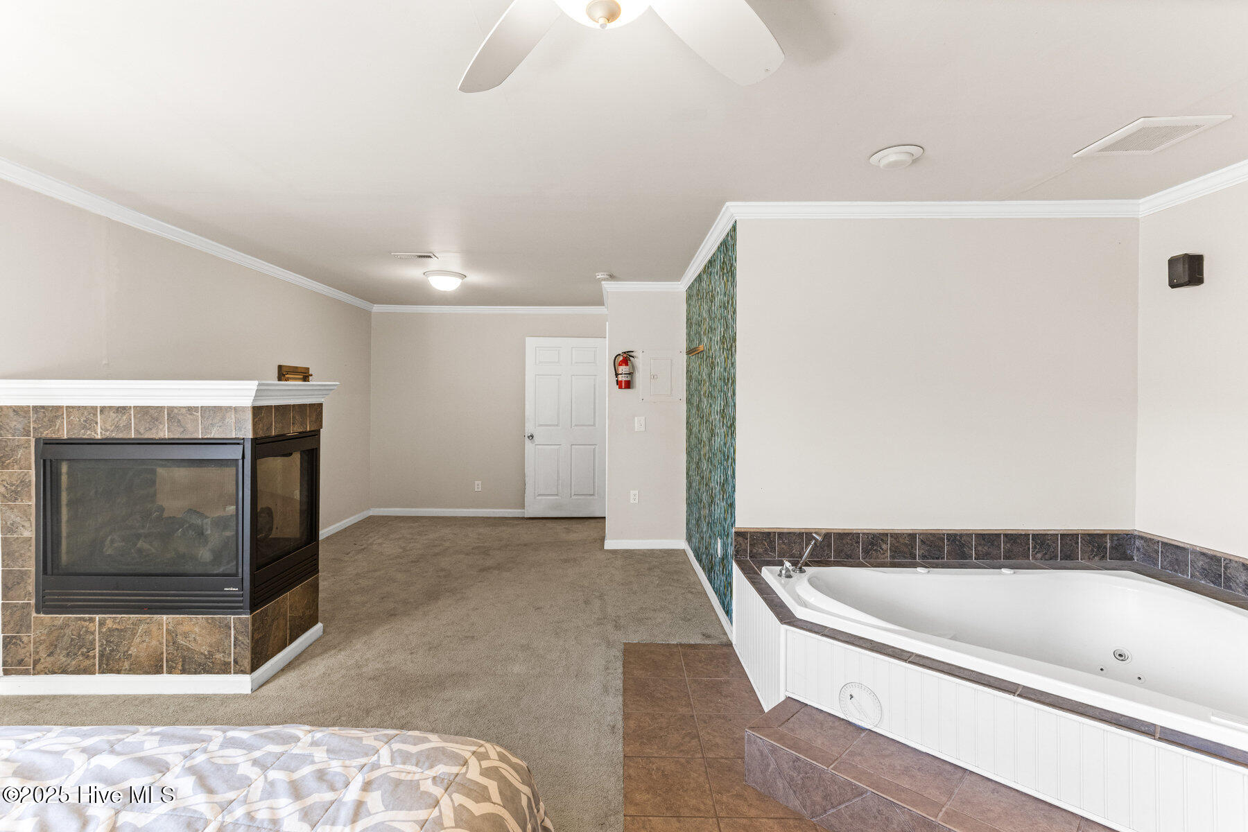 100542289 | Photo 31