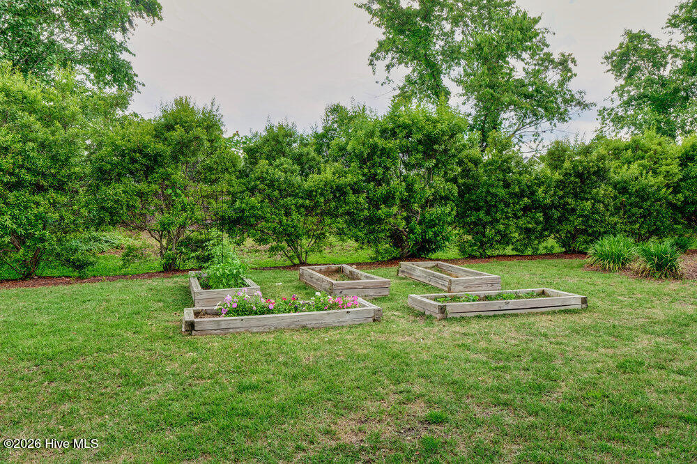 100558129 | Photo 68