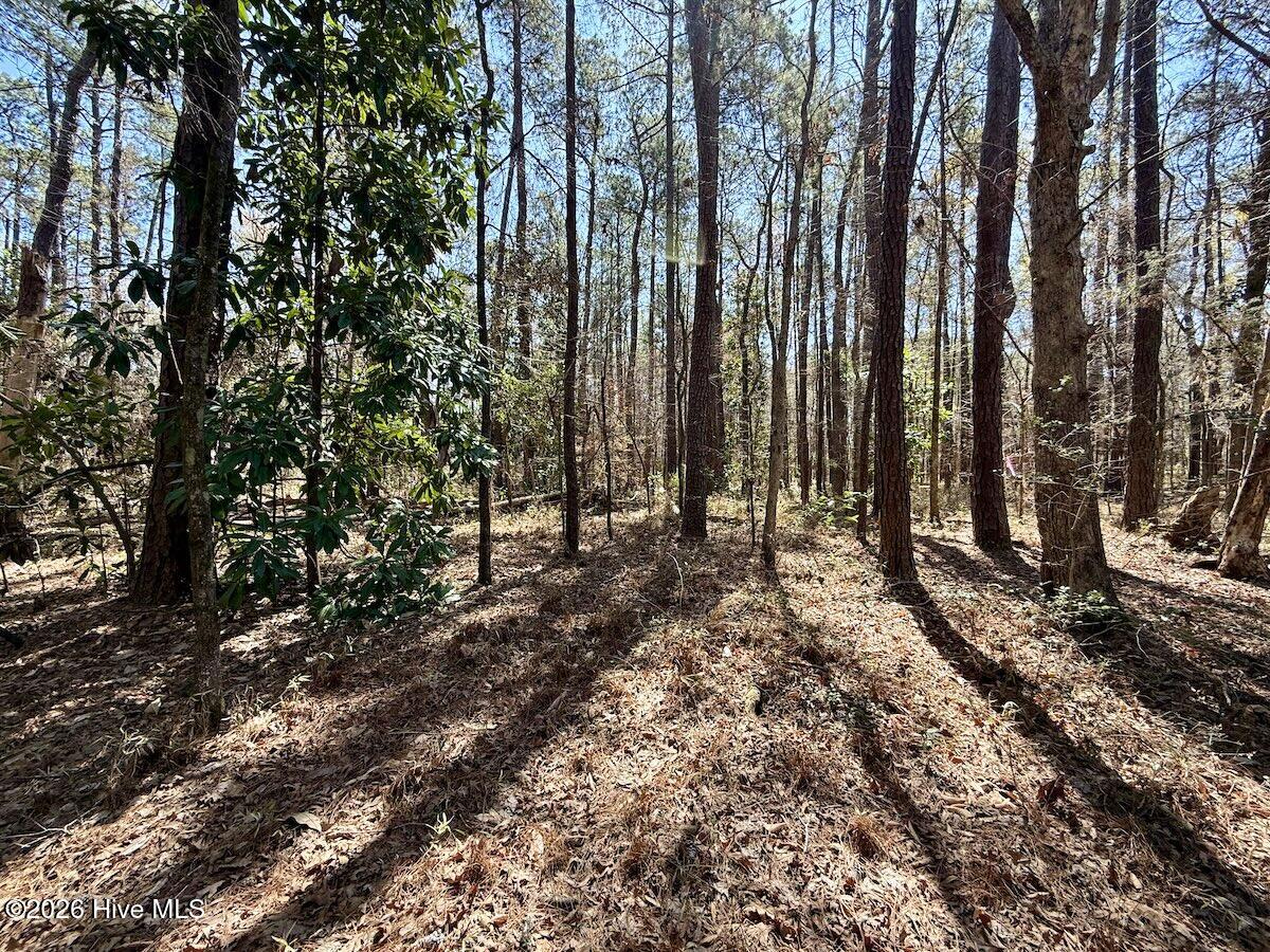 0 Lot 2 Creek Place Road,Arapahoe