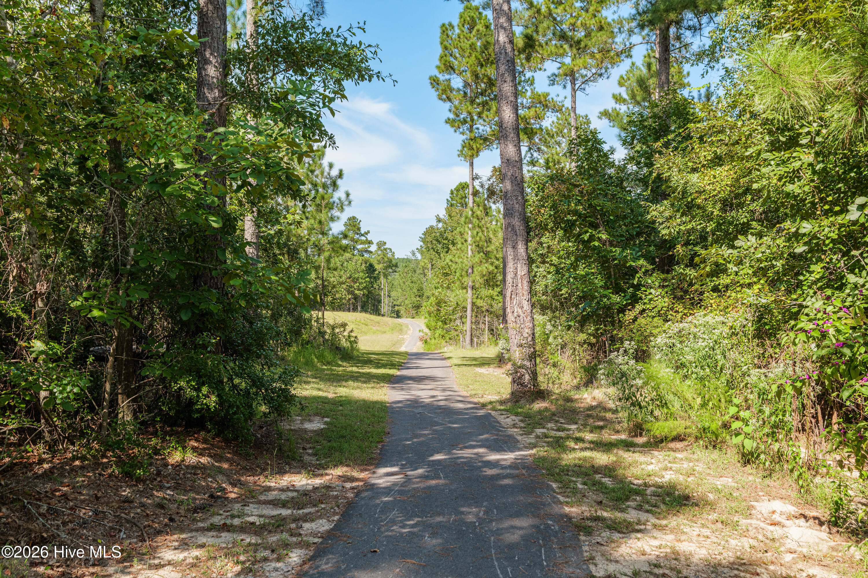 4th image of 6077 Crawley Trl, Beech Island, SC 29842 | MLS# 100592932