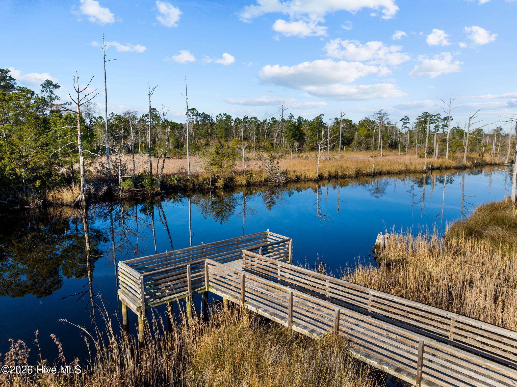 100563731 | Photo 73