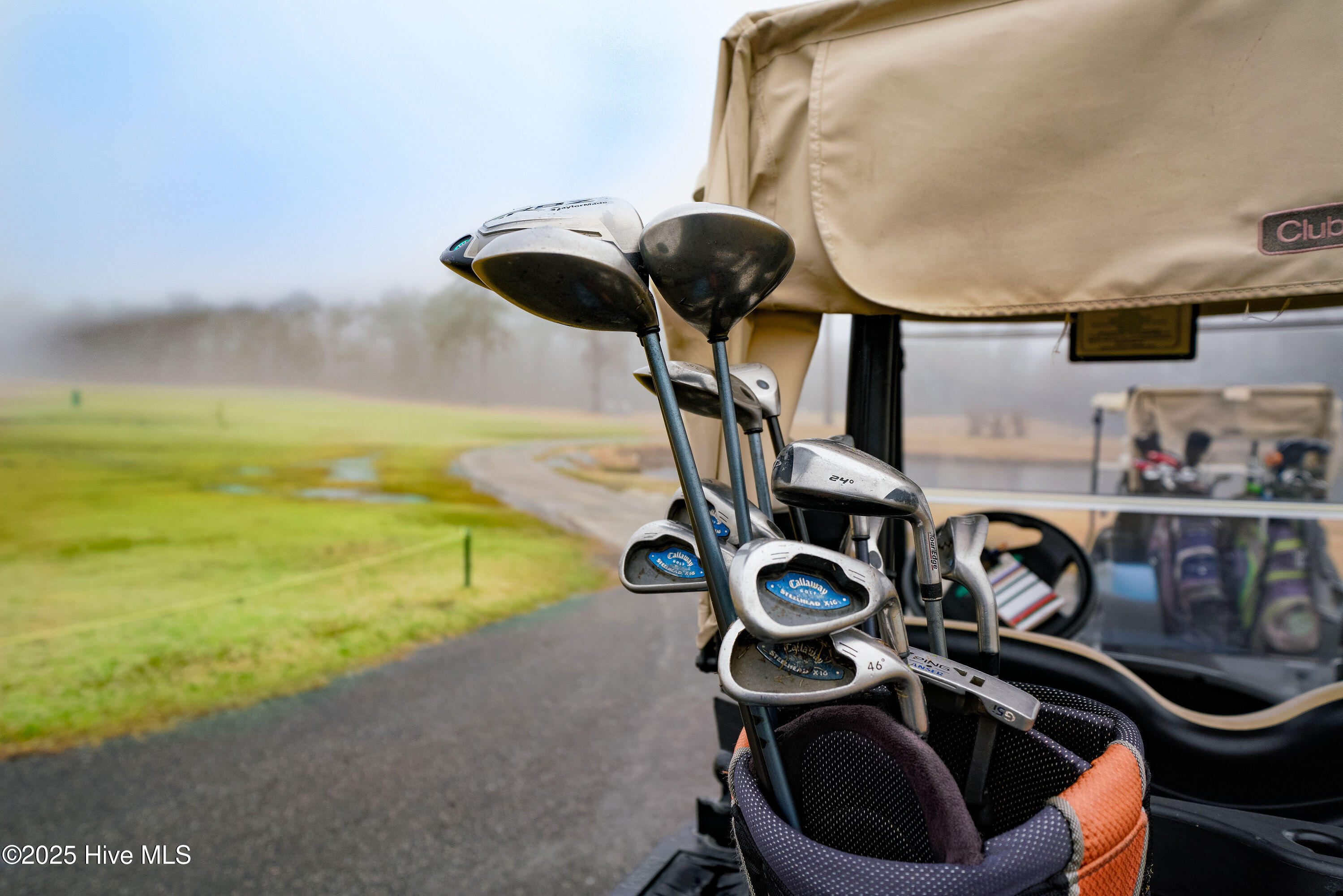 100533968 | Photo 66