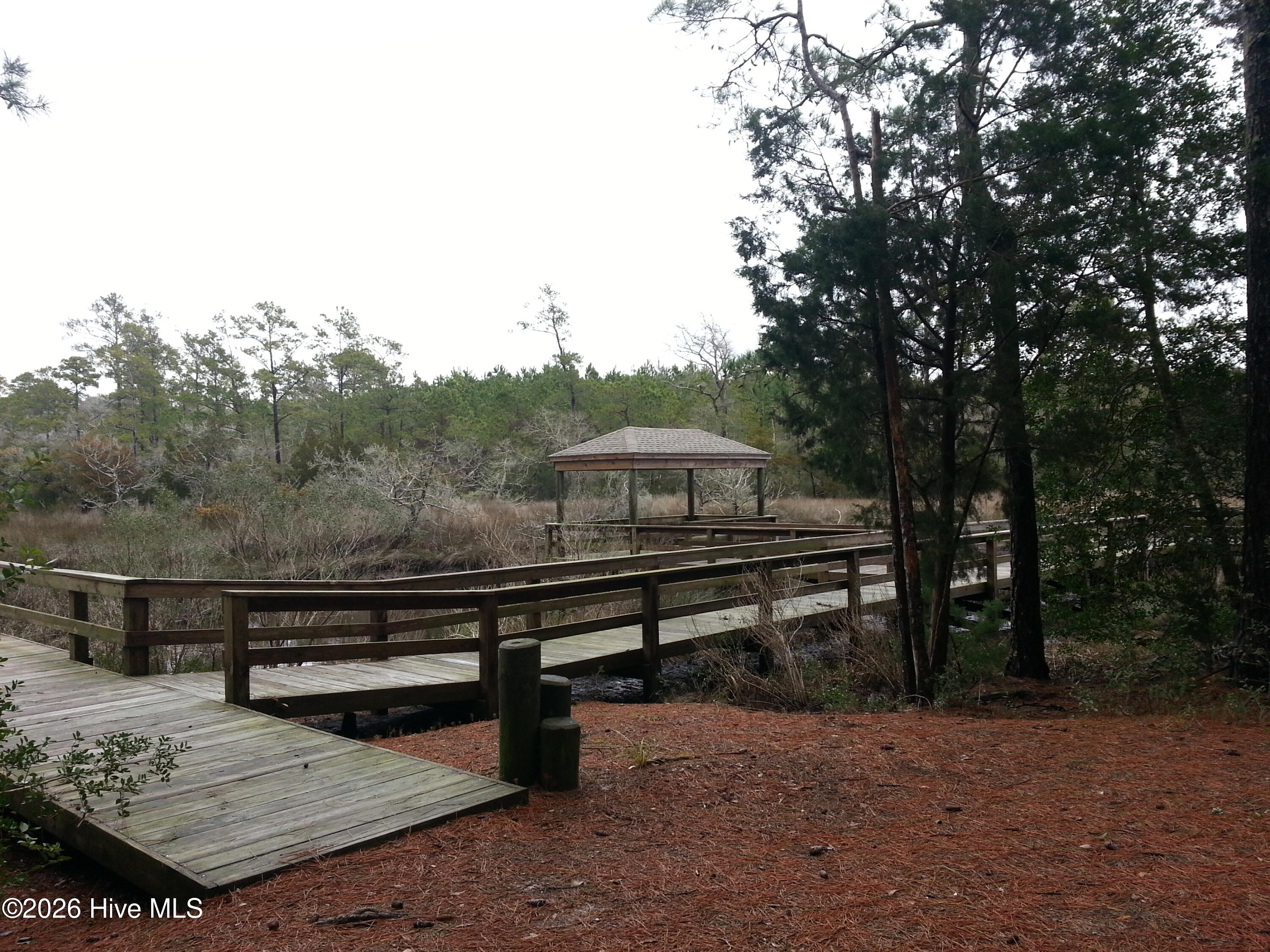 100564958 | Photo 41