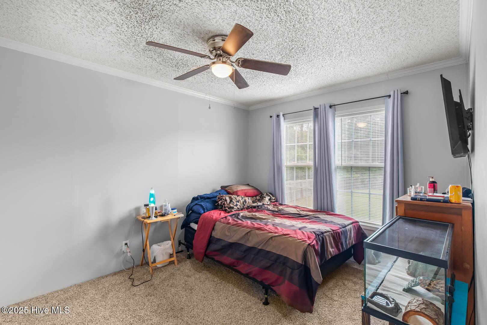 100528687 | Photo 22