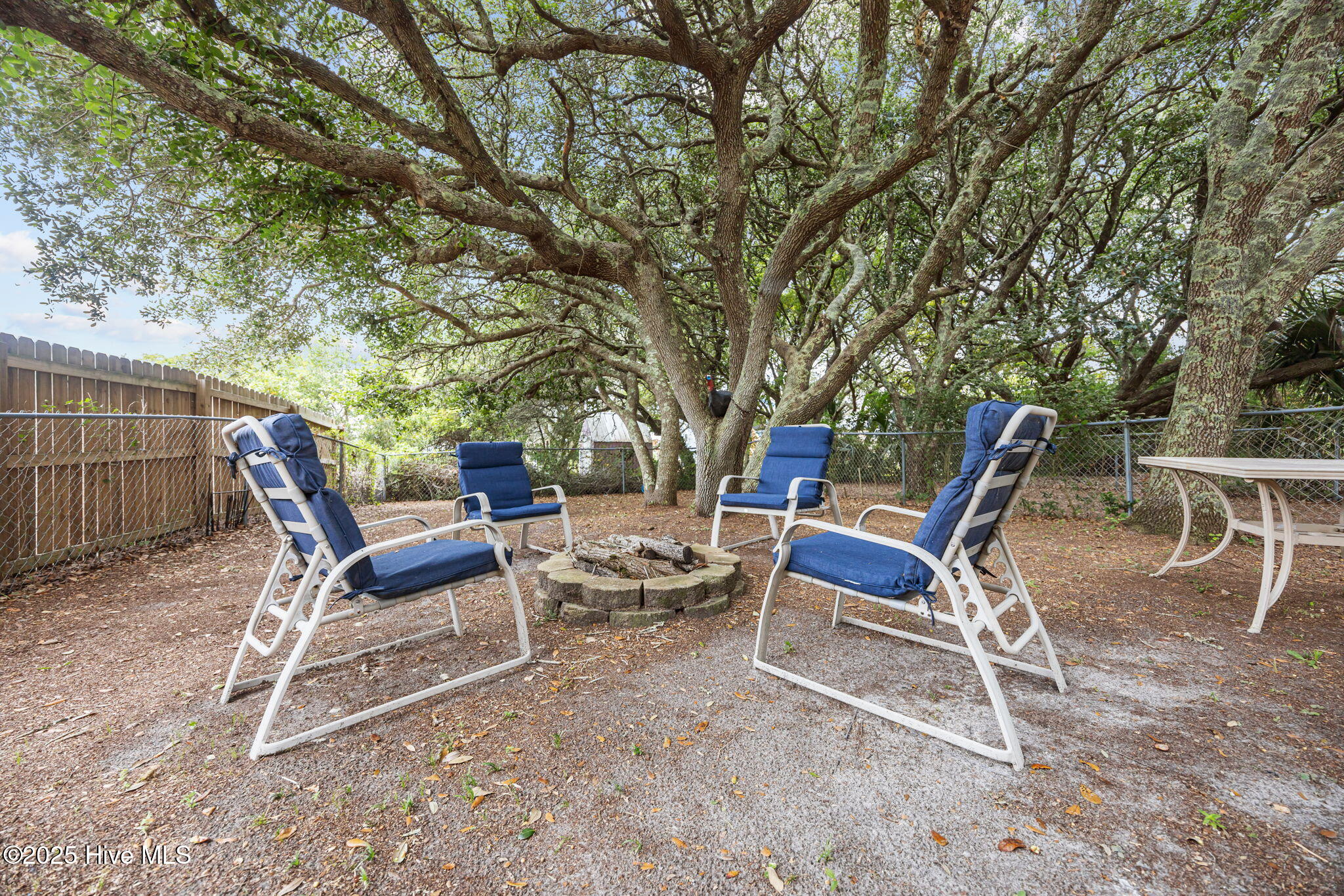 100530225 | Photo 47