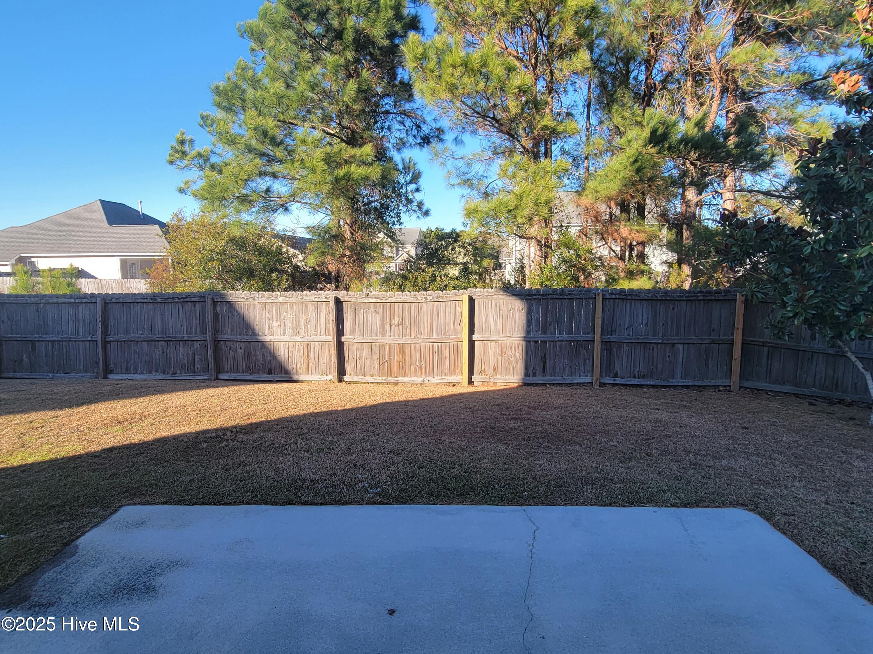 100537987 | Photo 22