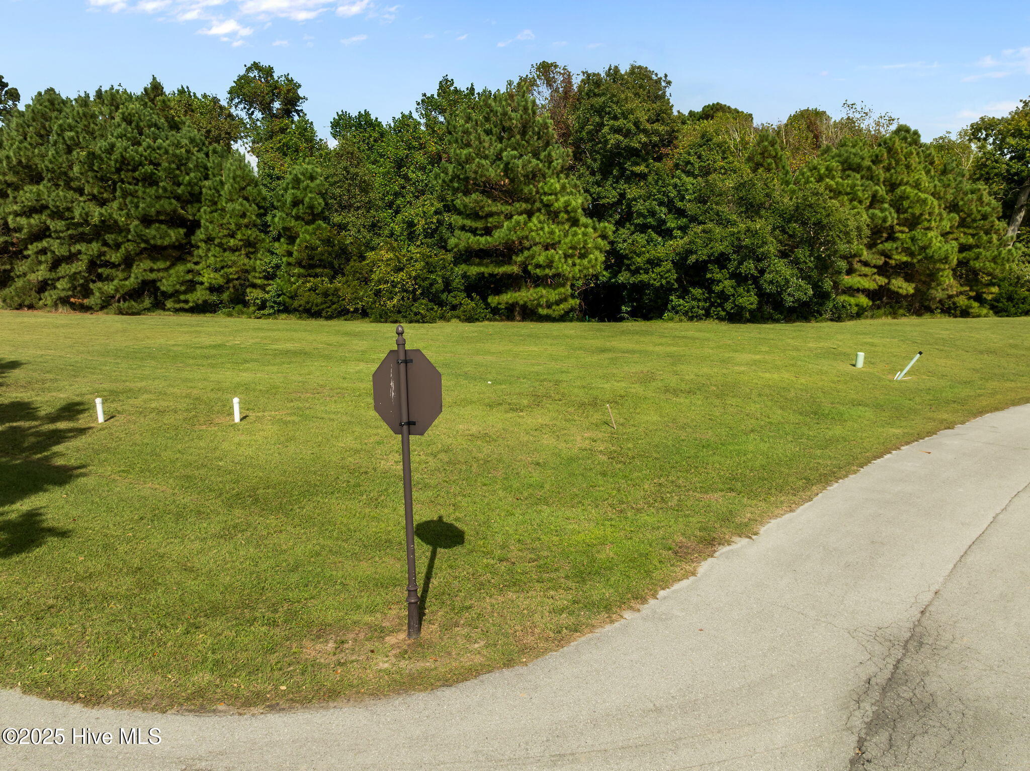 100564274 | Photo 10