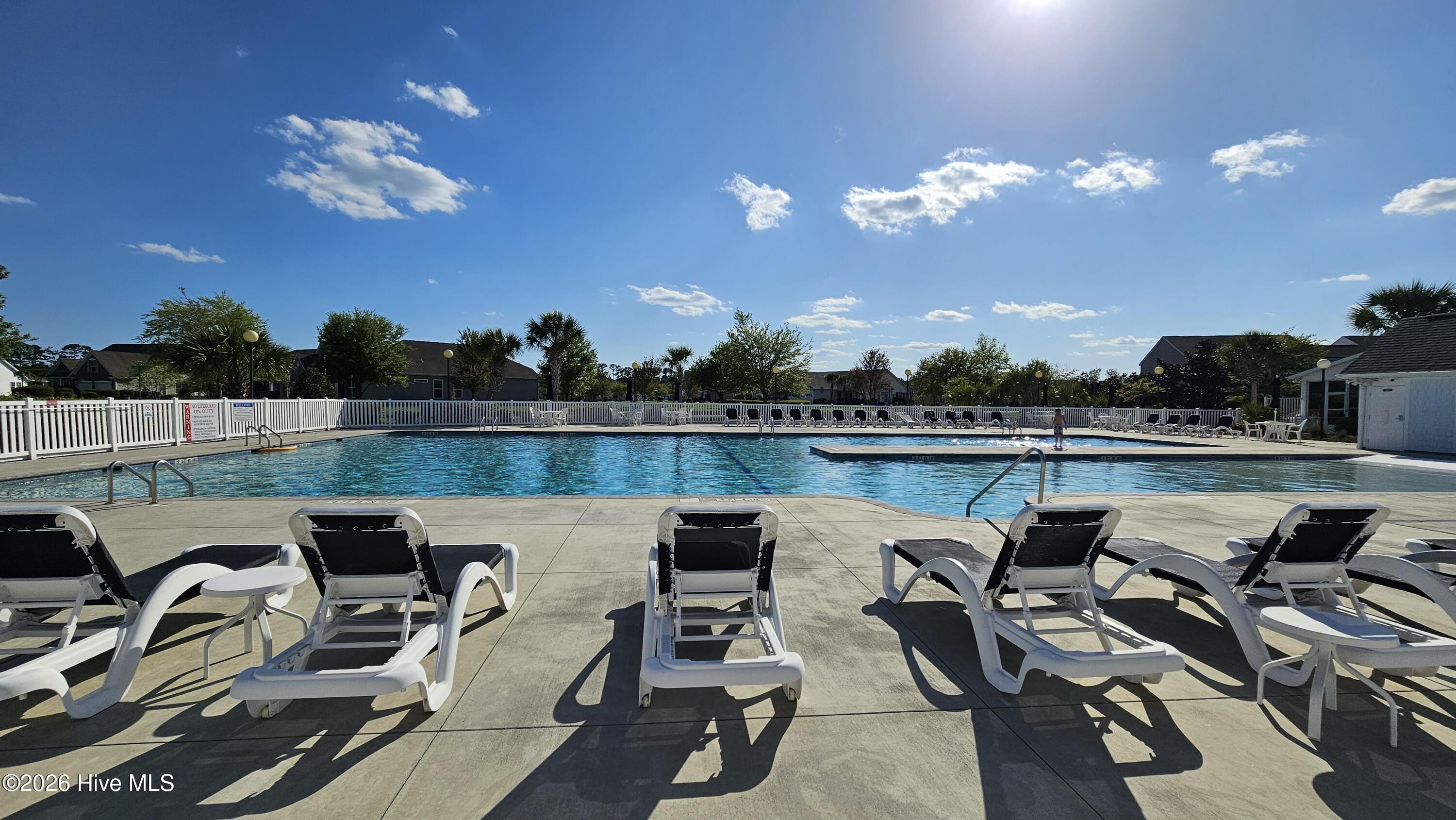 100557894 | Photo 42