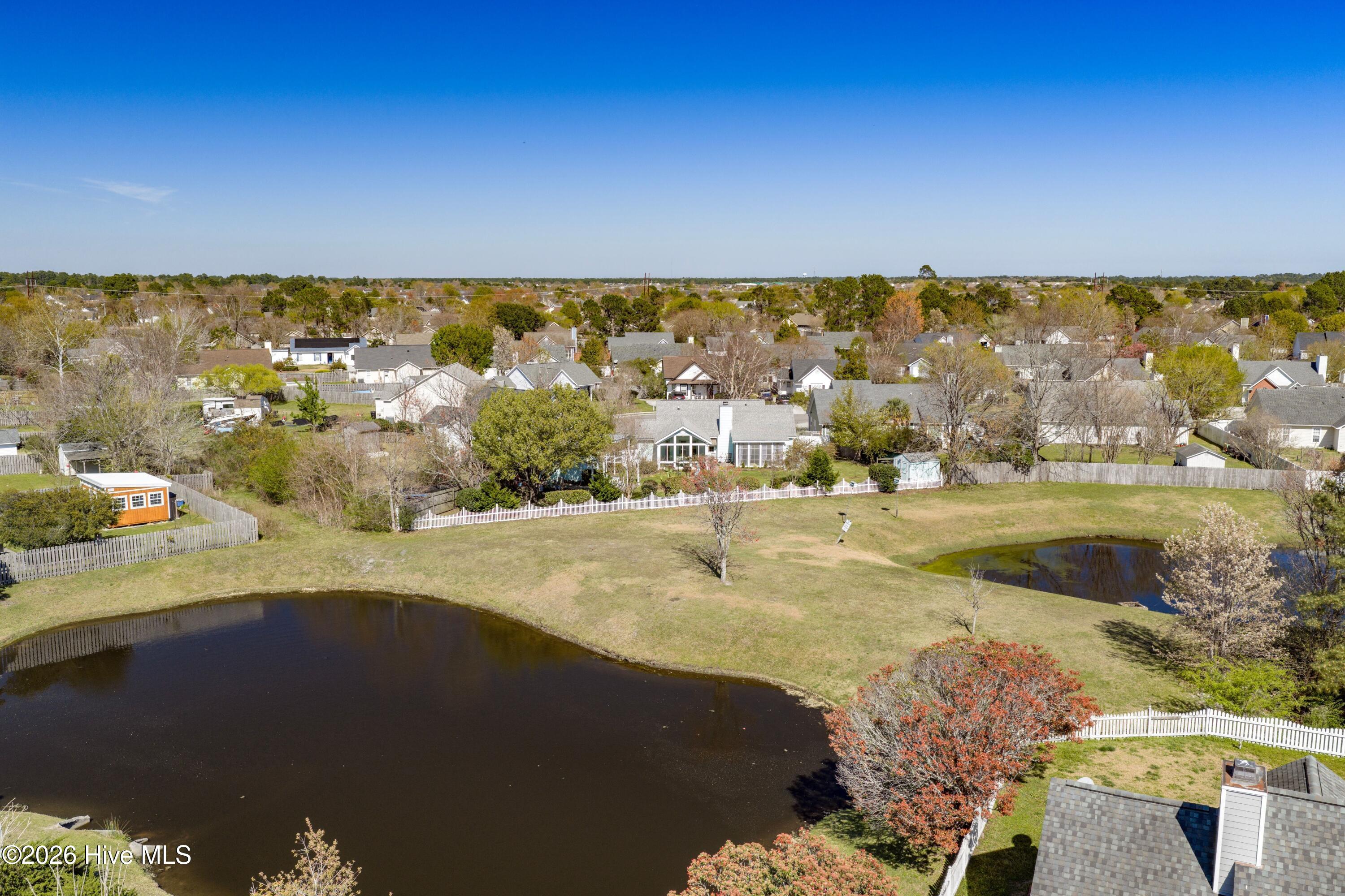 100562291 | Photo 38