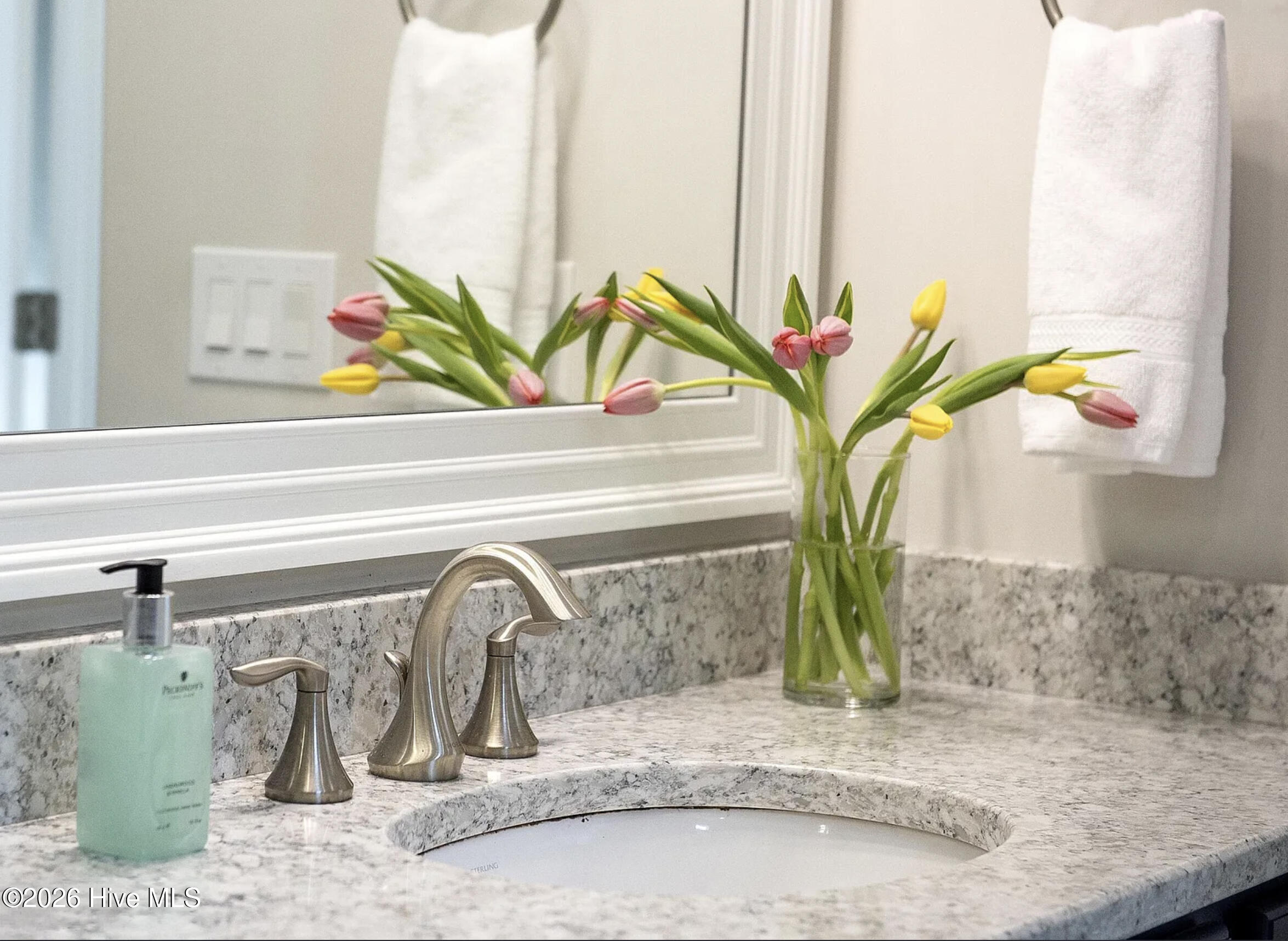 100563129 | Photo 27