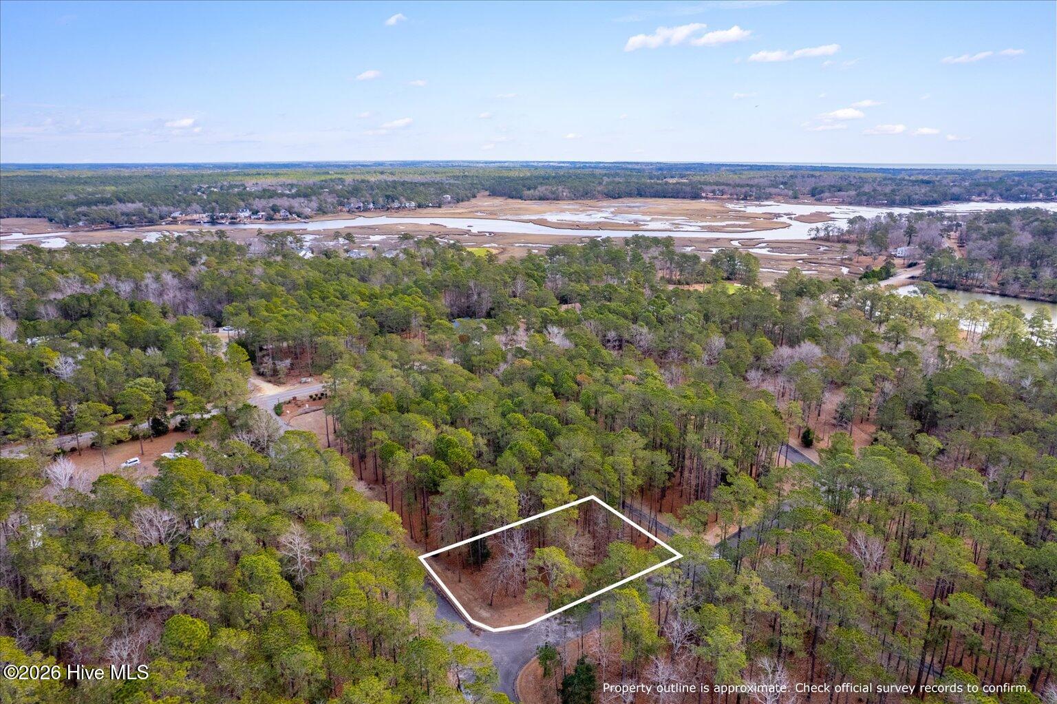 100555112 | Photo 47