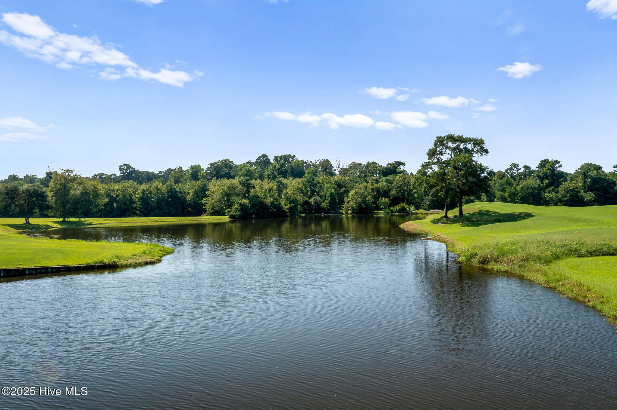 100526725 | Photo 55