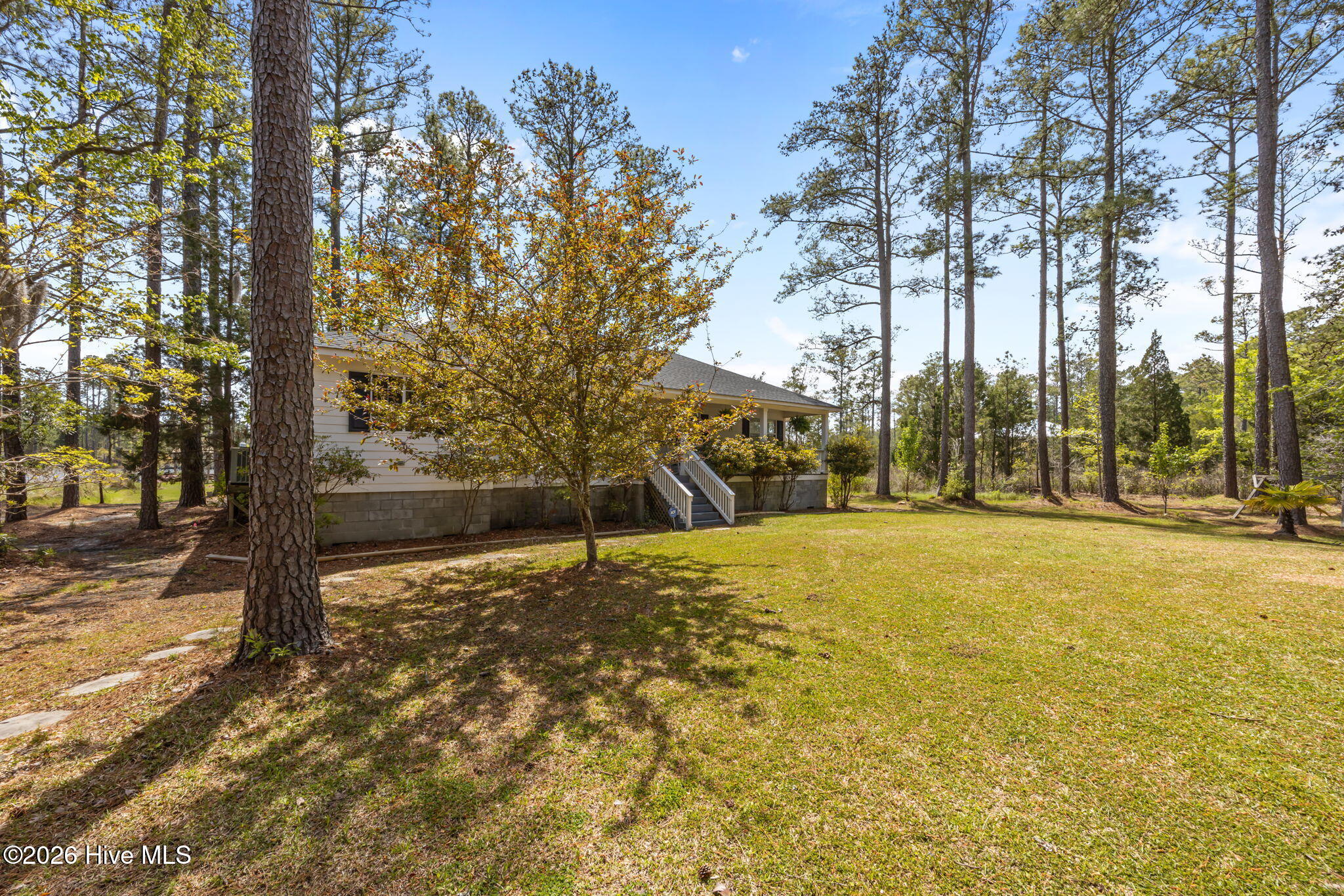 Front Yard