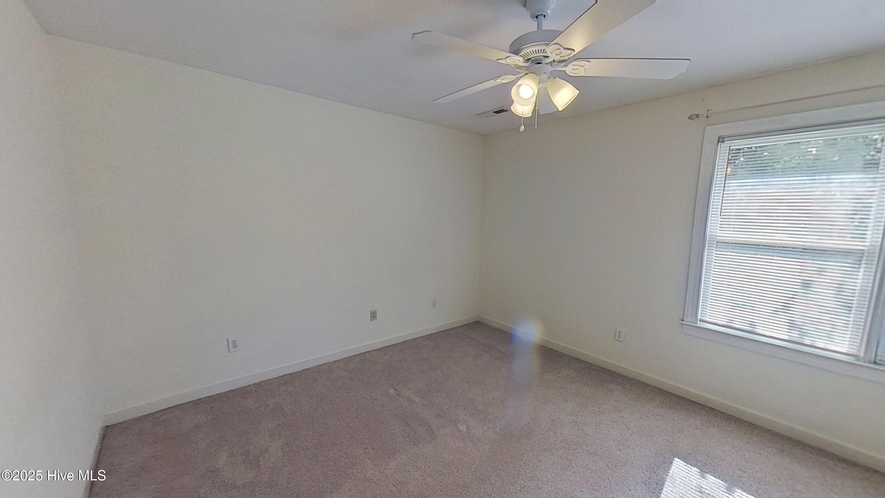 100523164 | Photo 14