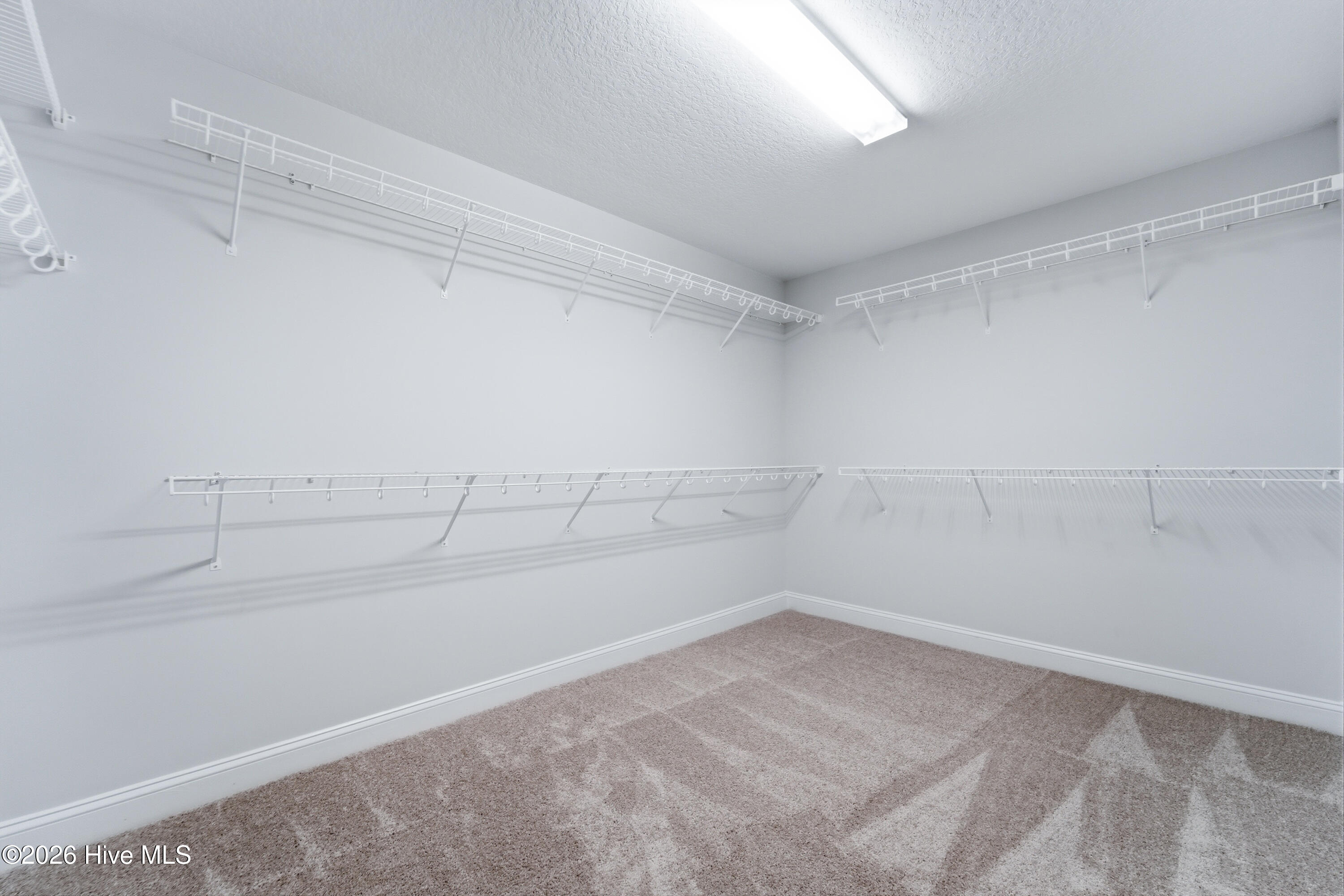 100530741 | Photo 20