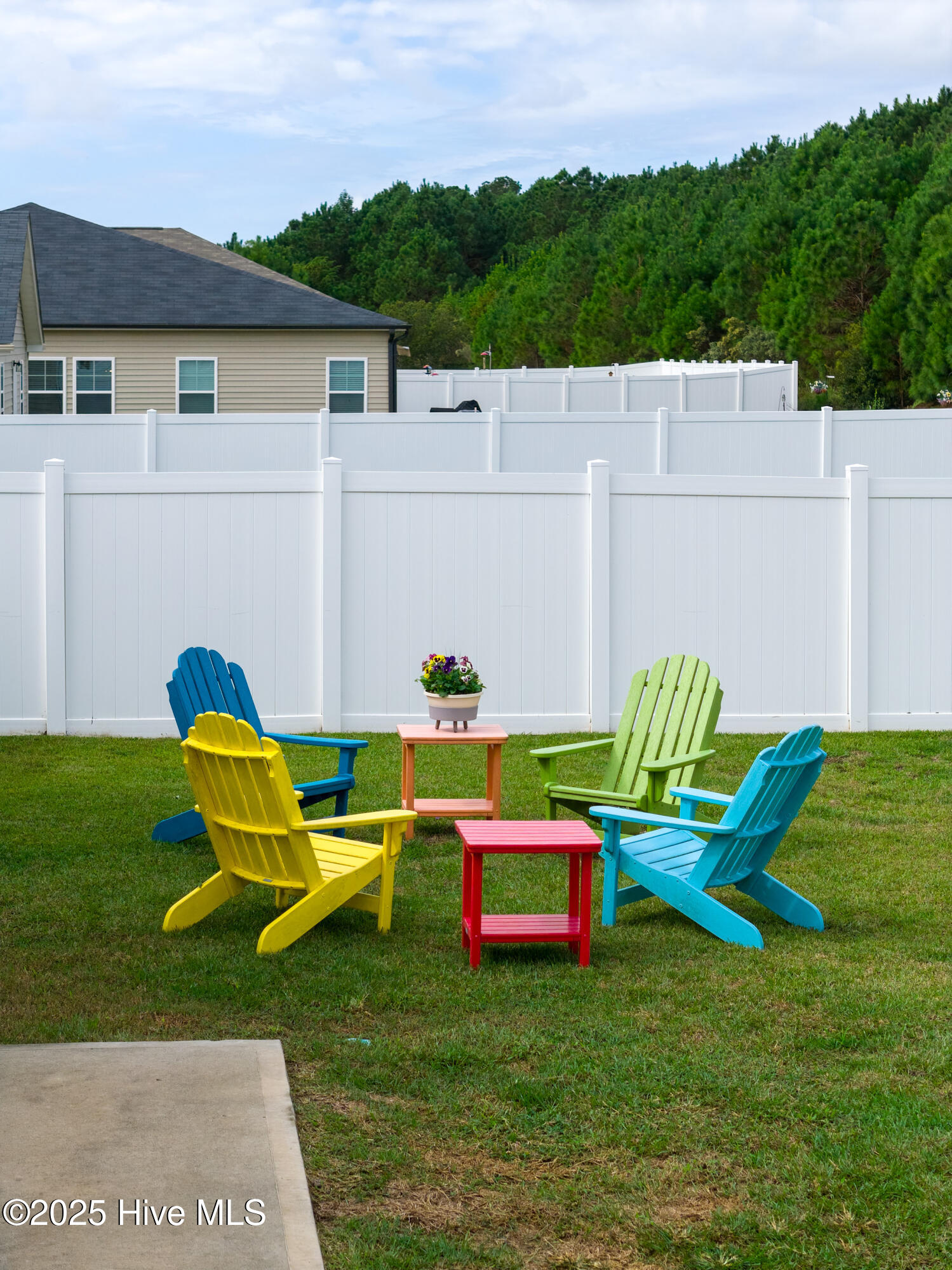 100535535 | Photo 30