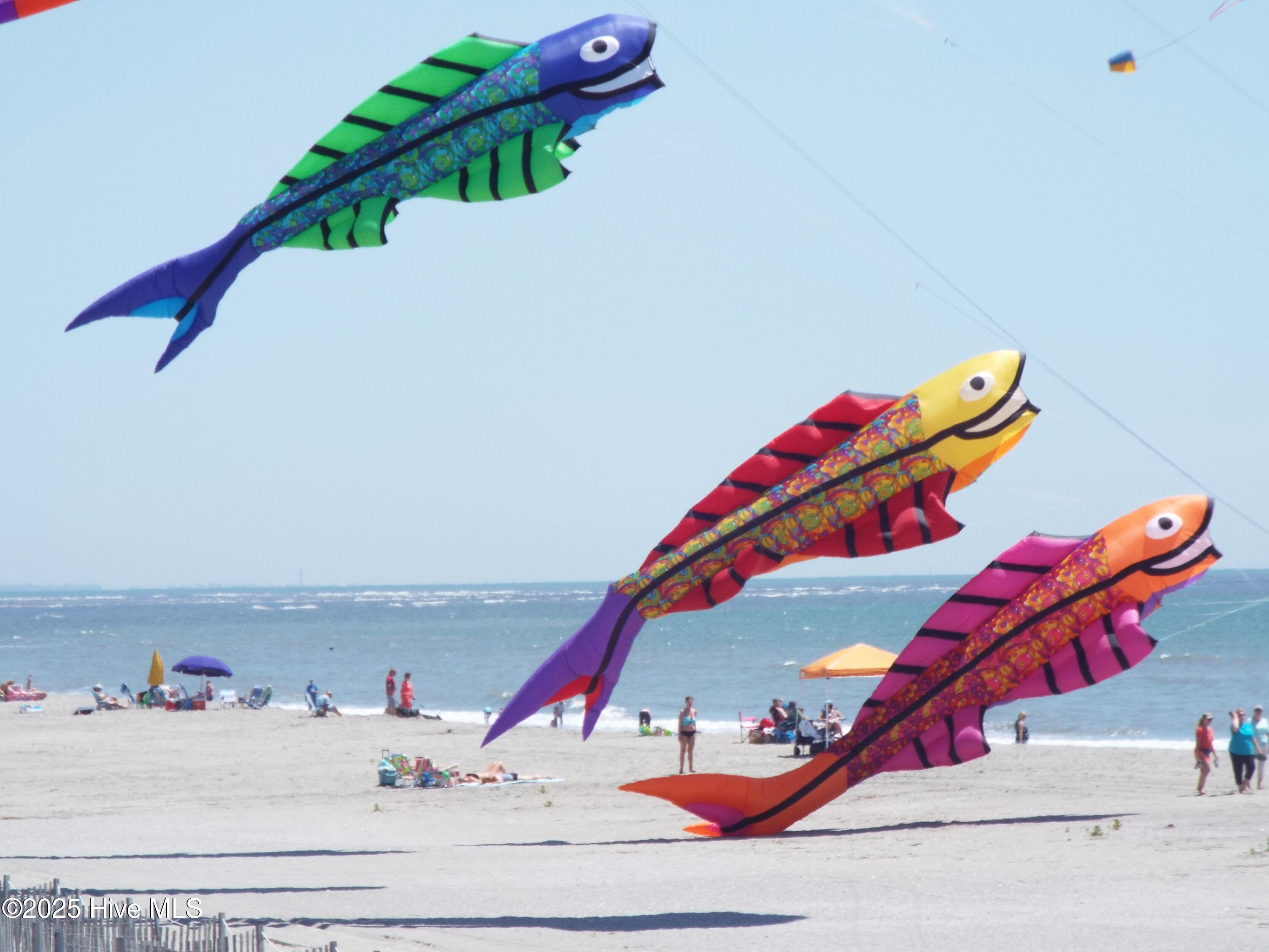 100511764 | Photo 89