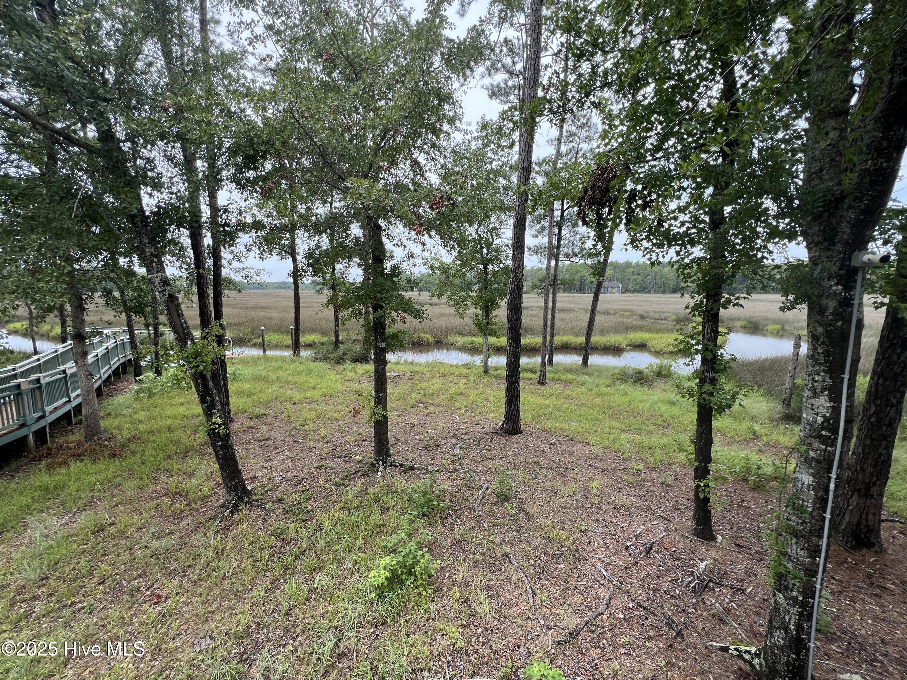 100527062 | Photo 32