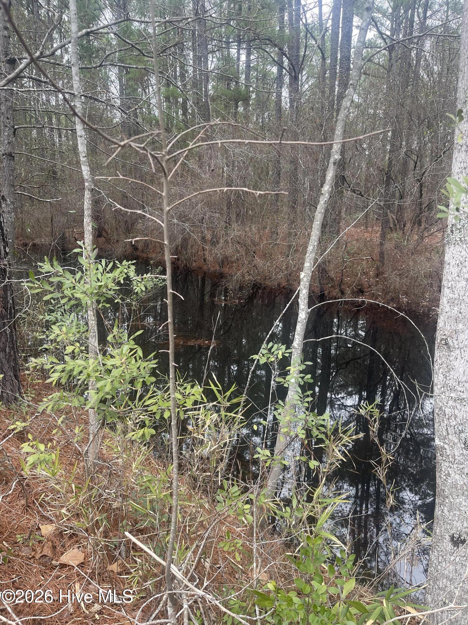 2nd image of Lot 6 & 7 Bumpy Ln, Sanford, NC 27332 | MLS# 100590915