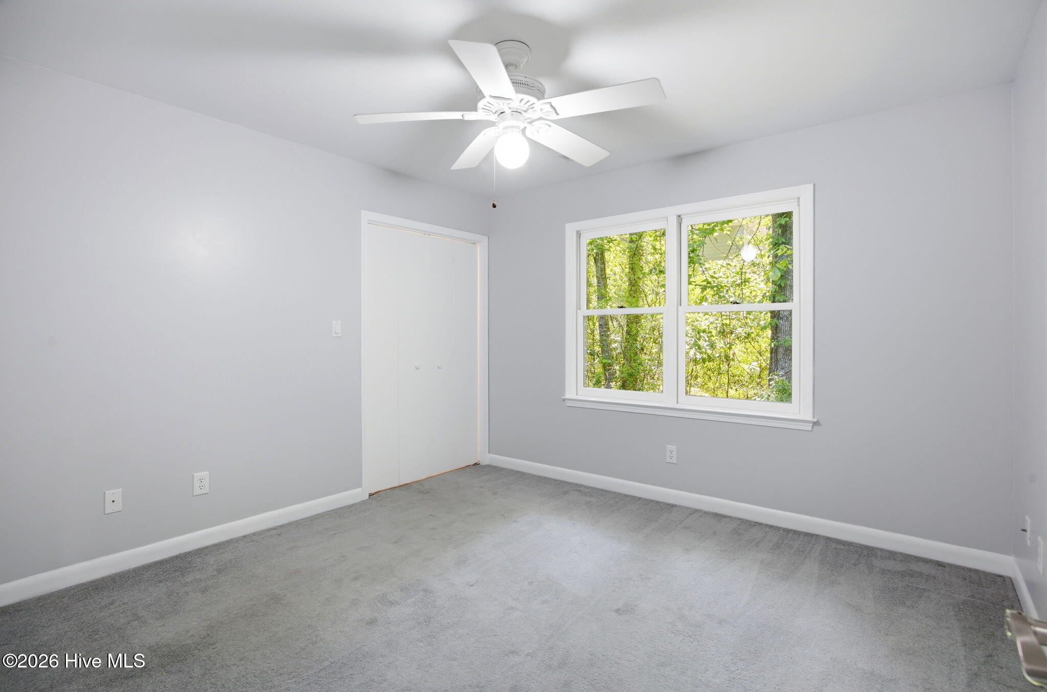 100569469 | Photo 37