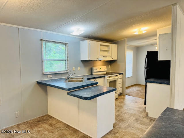 100552563 | Photo 10