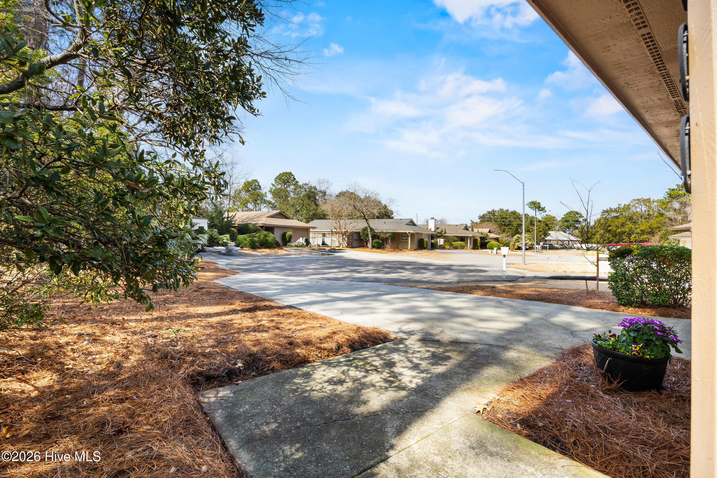 100558579 | Photo 34