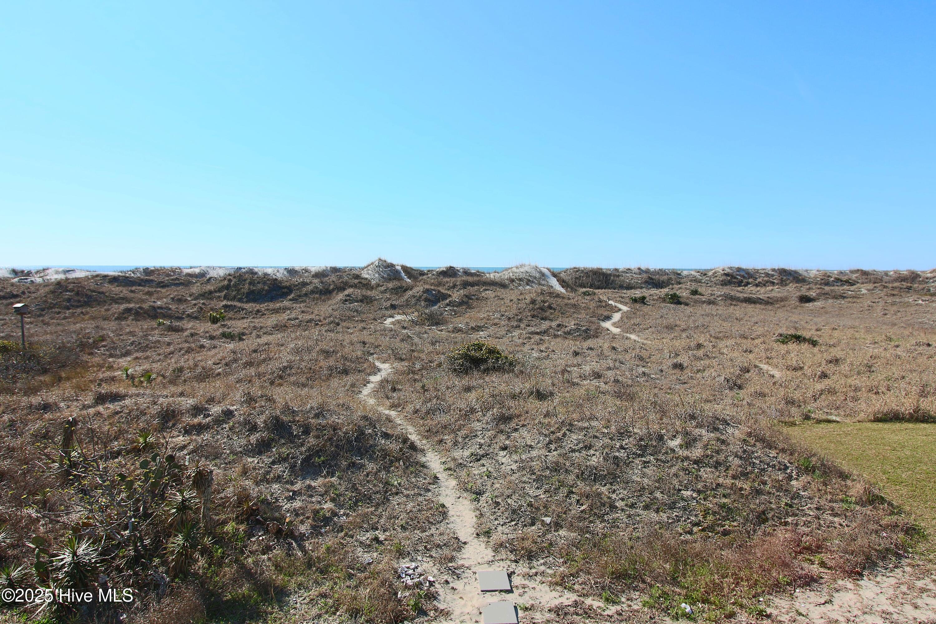 100503699 | Photo 52