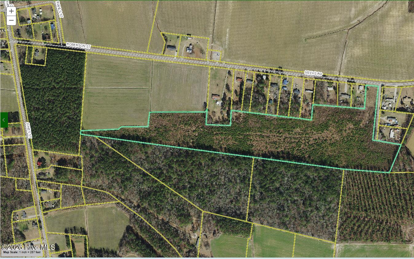 Homes for sale in Robersonville, NC | 1334 Meeks Rd, Robersonville, NC 27871 | MLS# 100557778