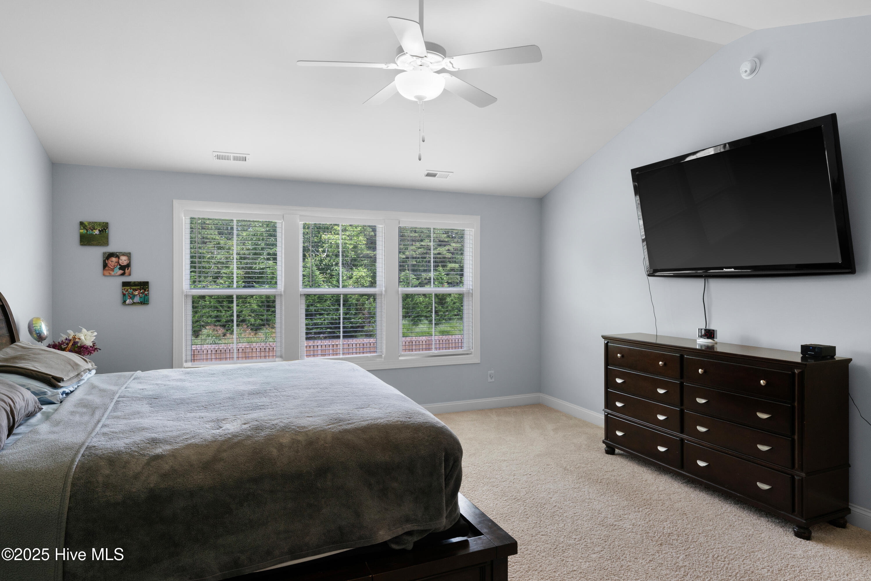 100512596 | Photo 44