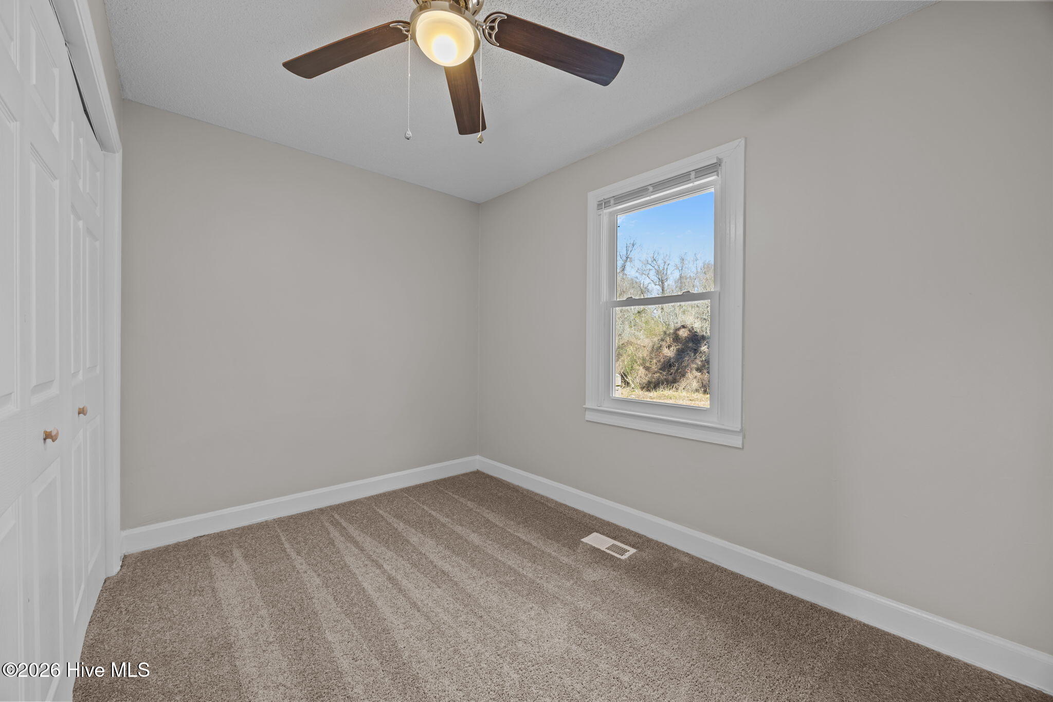 100553167 | Photo 15